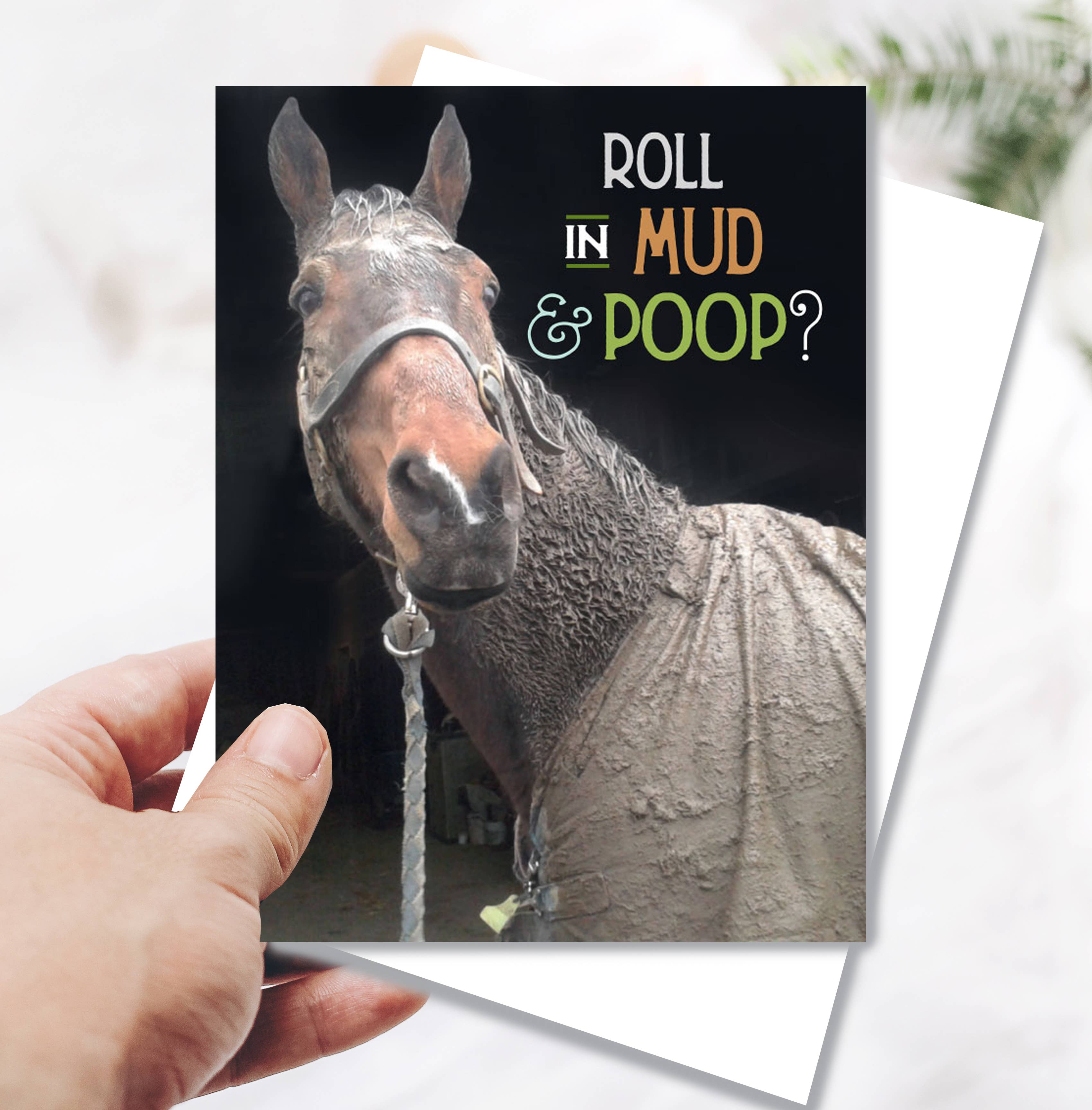 Horse Greeting Birthday Card / Roll in Mud & Poop