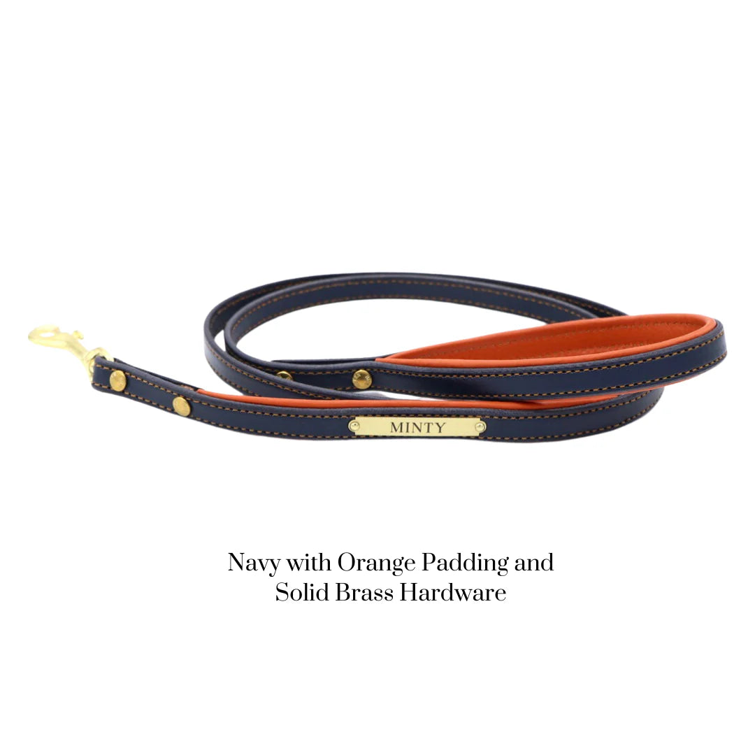 Custom Padded Dog Leash