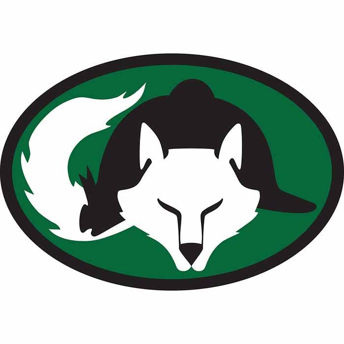 EURO Fox and Helmet Decals