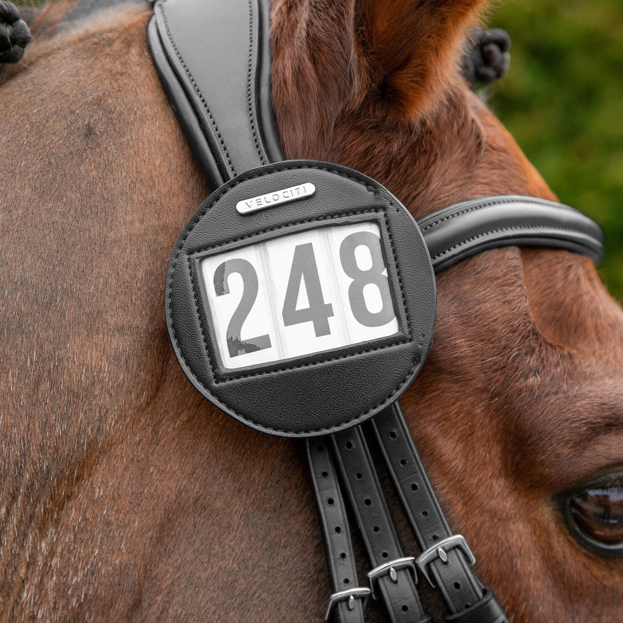 Velociti Bridle Number Holder - main