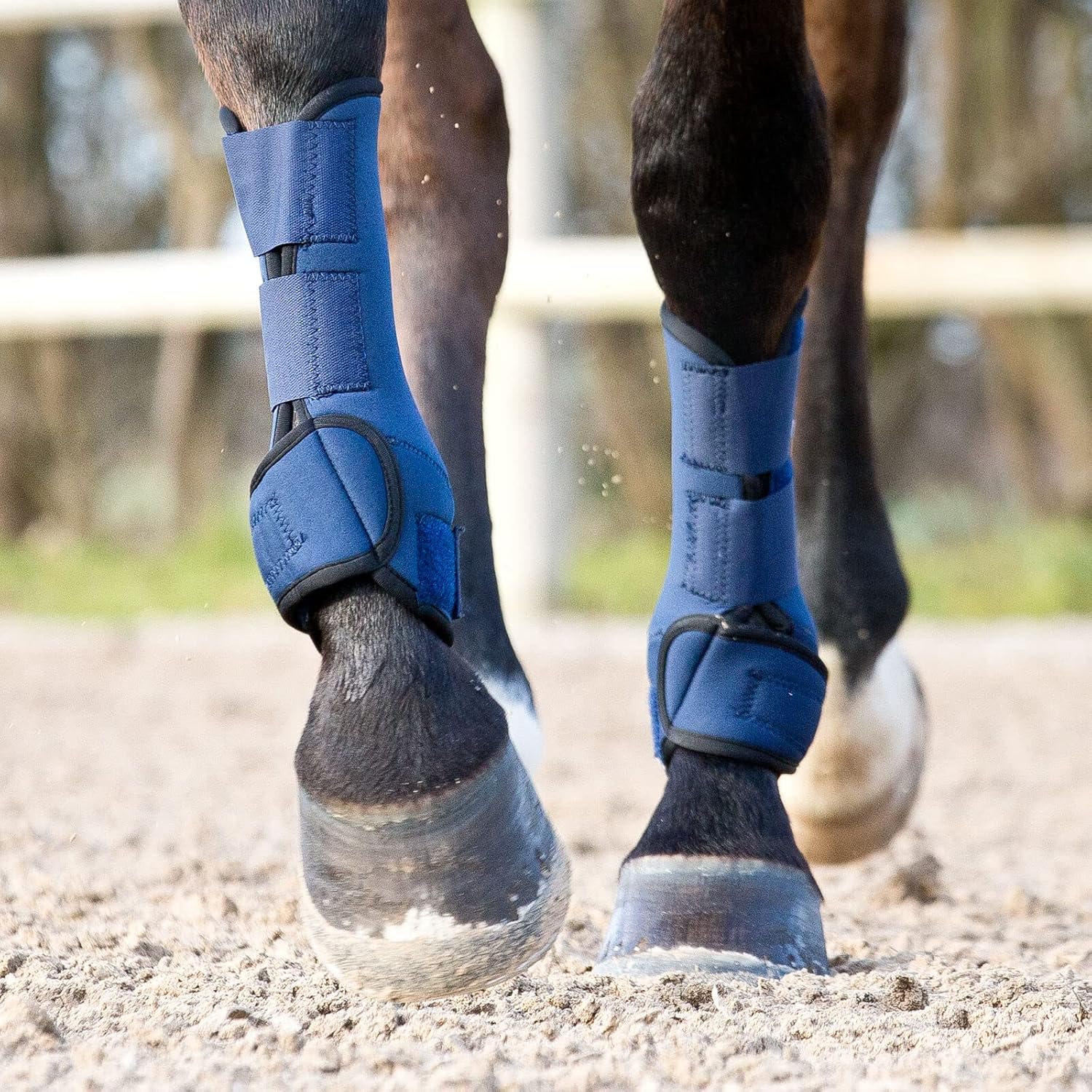 Sale Horze Brushing Boots