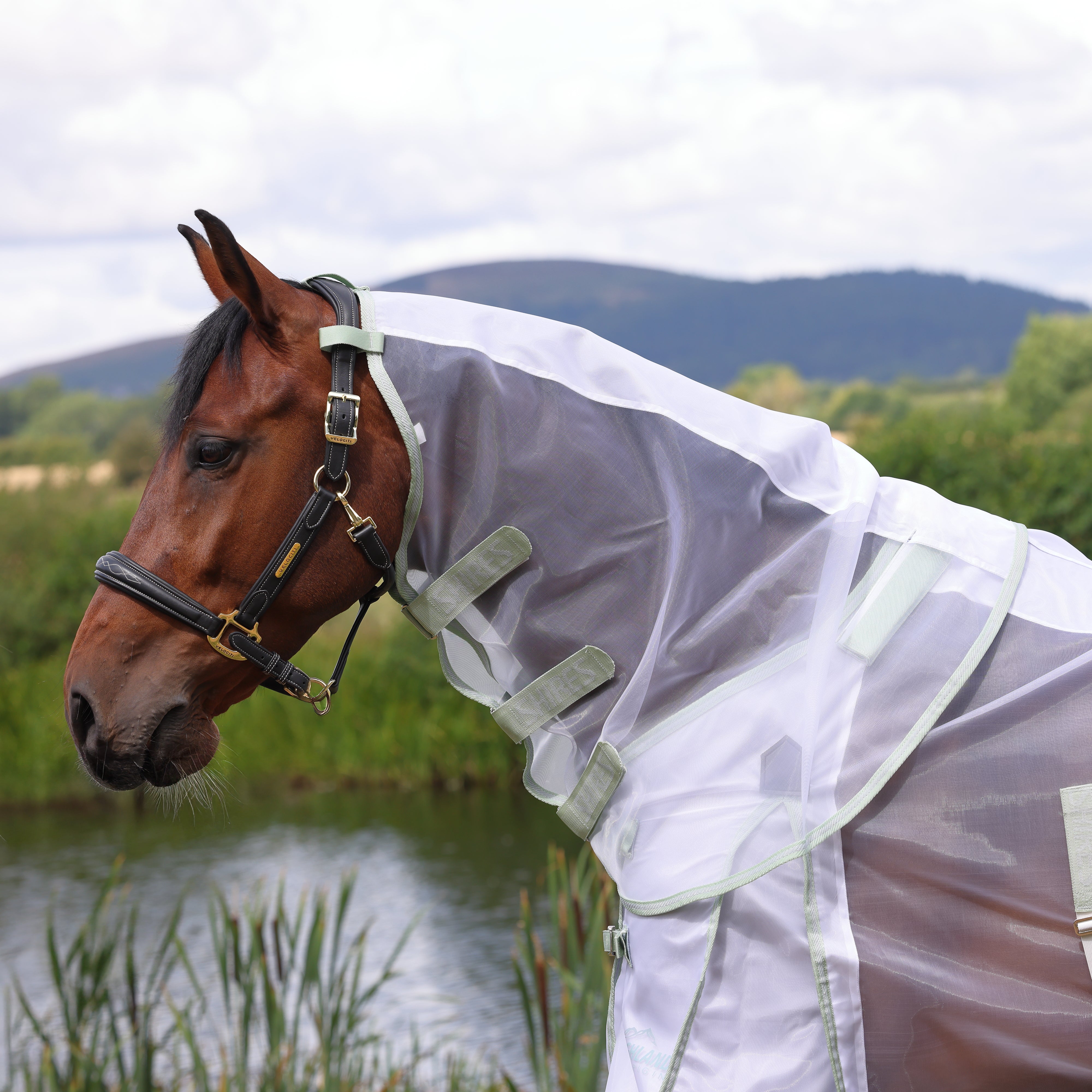 Shires Highlander Fine Mesh Fly Sheet/Neck Set