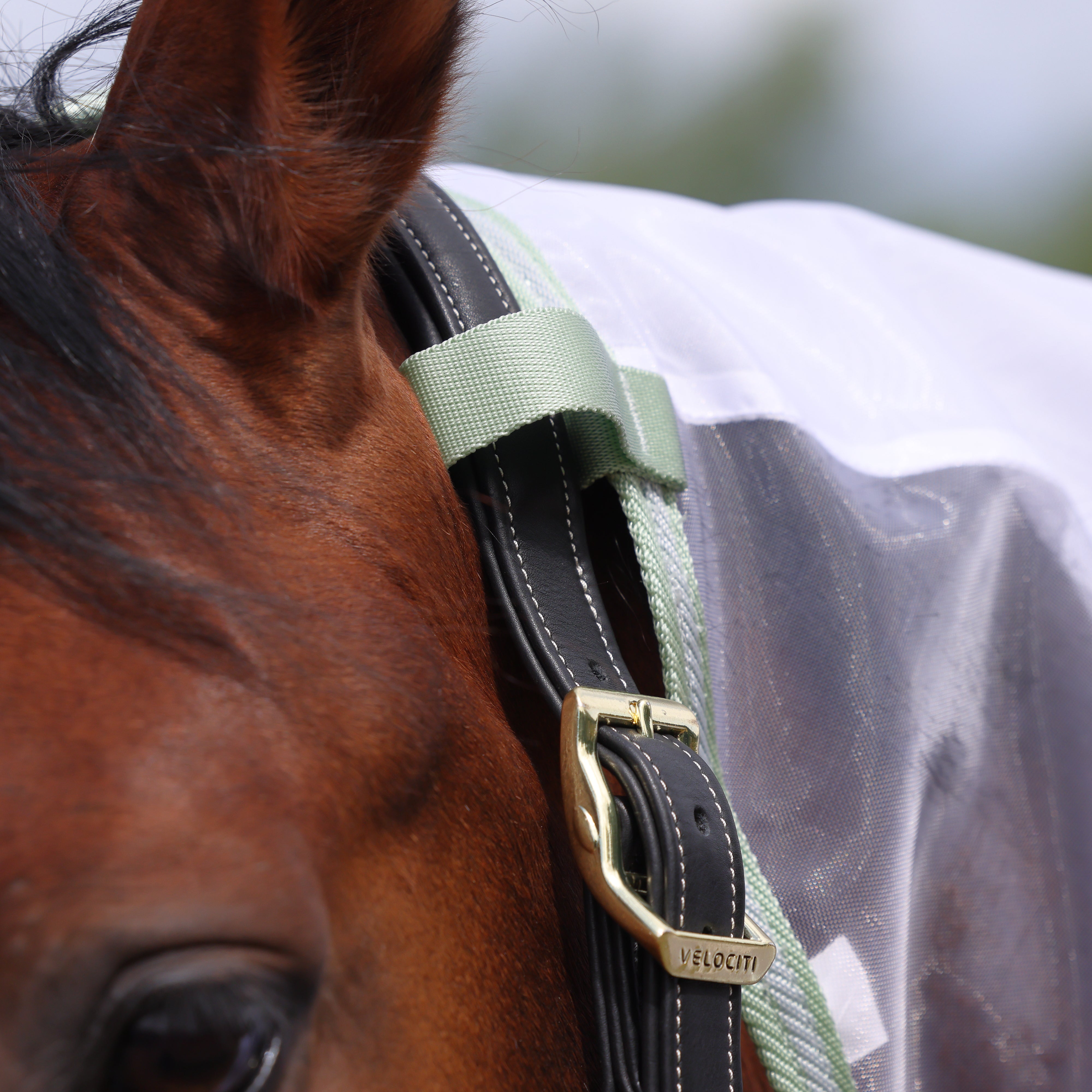 Shires Highlander Fine Mesh Fly Sheet/Neck Set