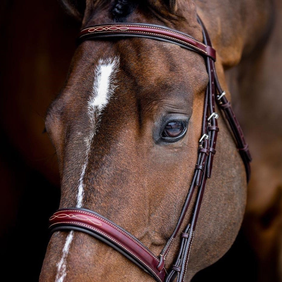 Edgewood 1" Fancy Raised Padded Bridle - main