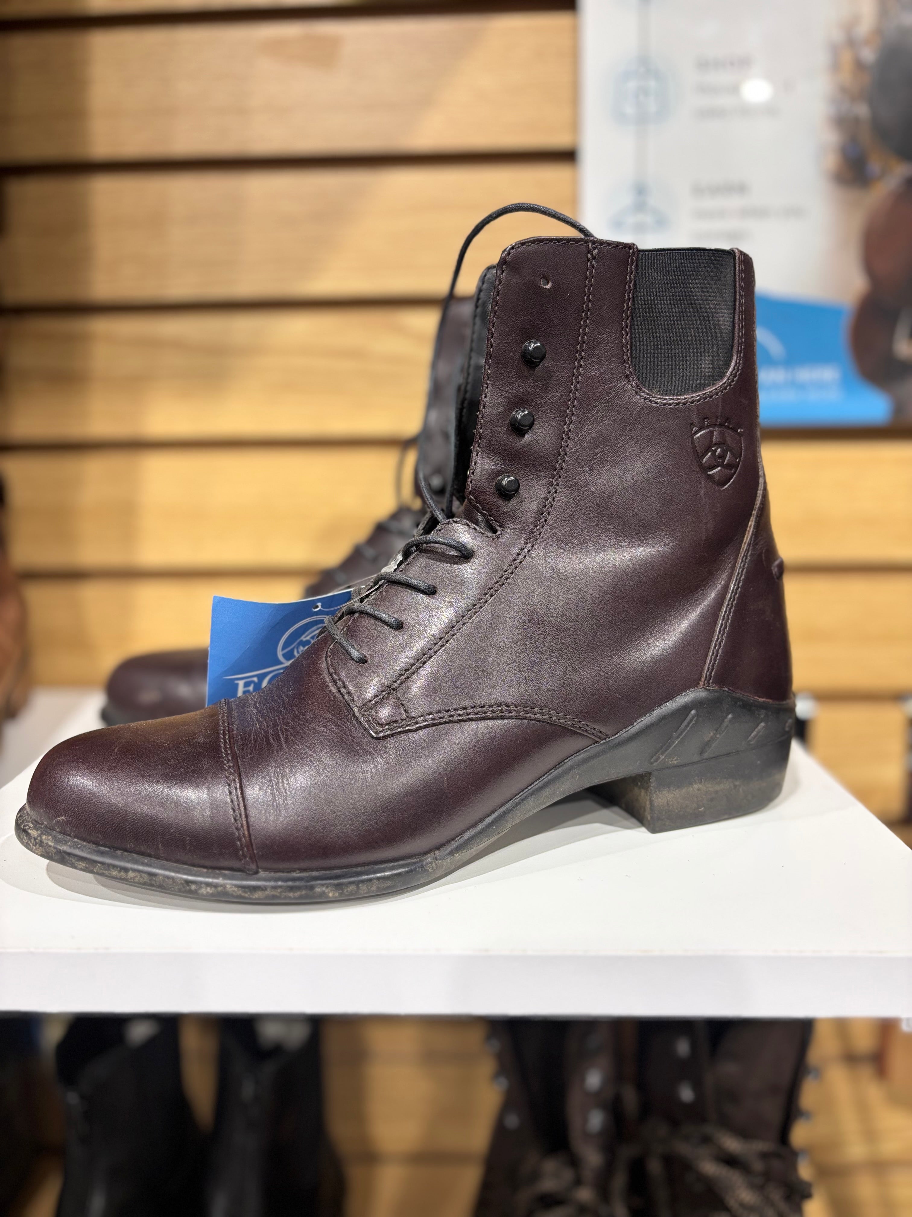 Used 10 Brown Ariat Paddock Boots