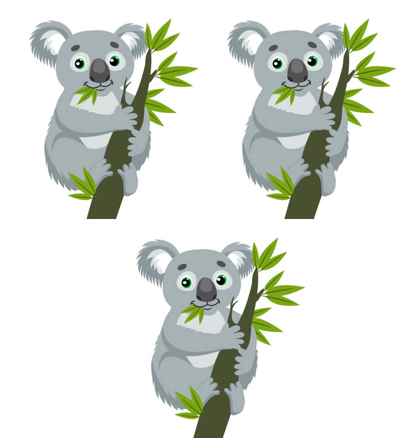 Hocsocx, Inc. - Koala Athletic Socks