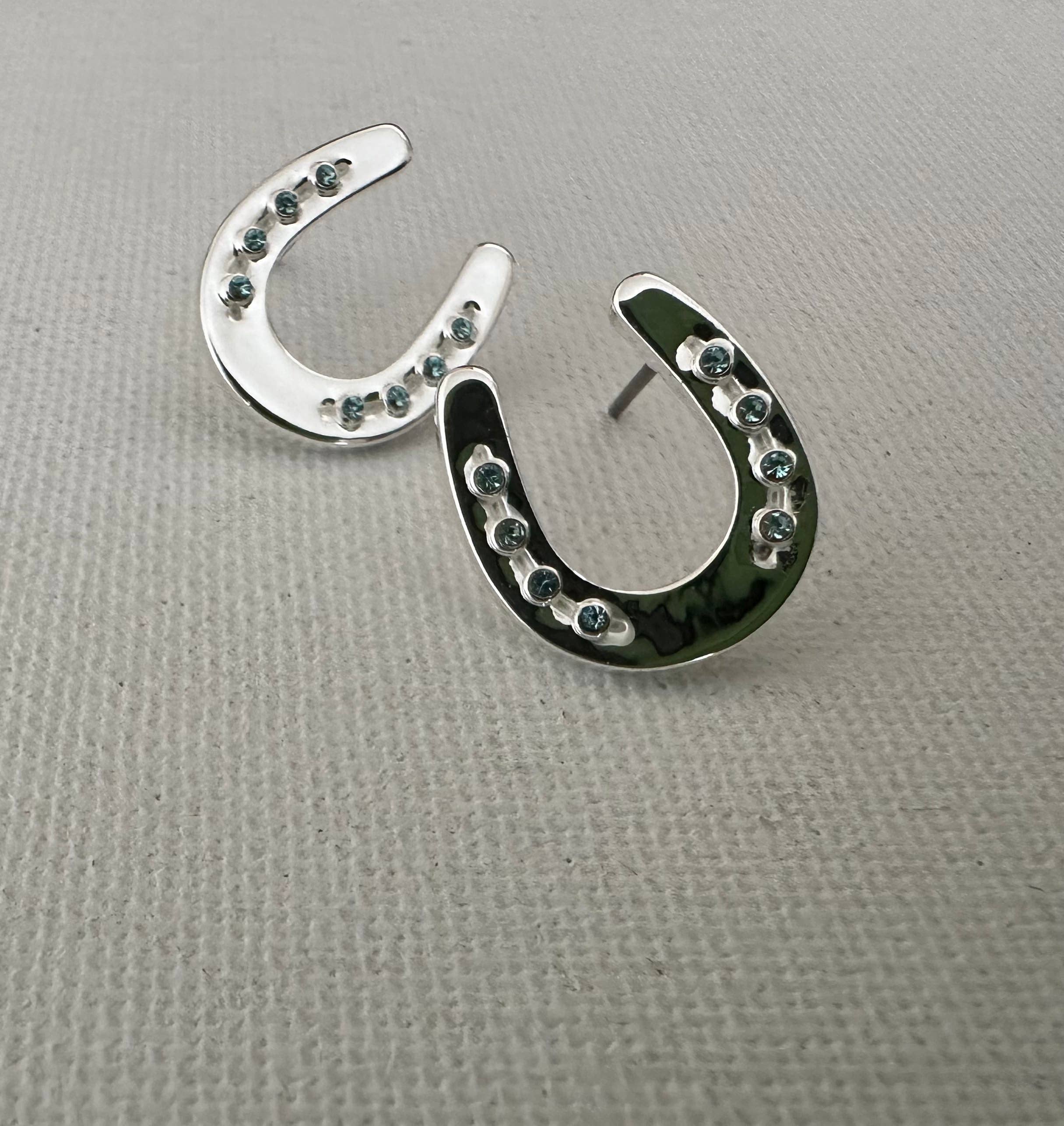 Horseshoe w/Aqua Crystals Earrings with Post