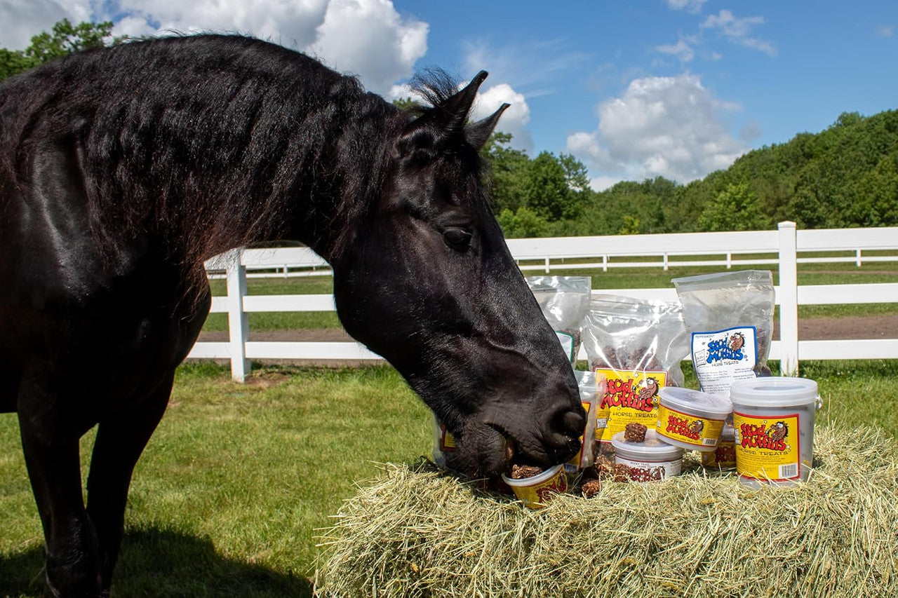 Stud Muffins Original Horse Treat - supporting