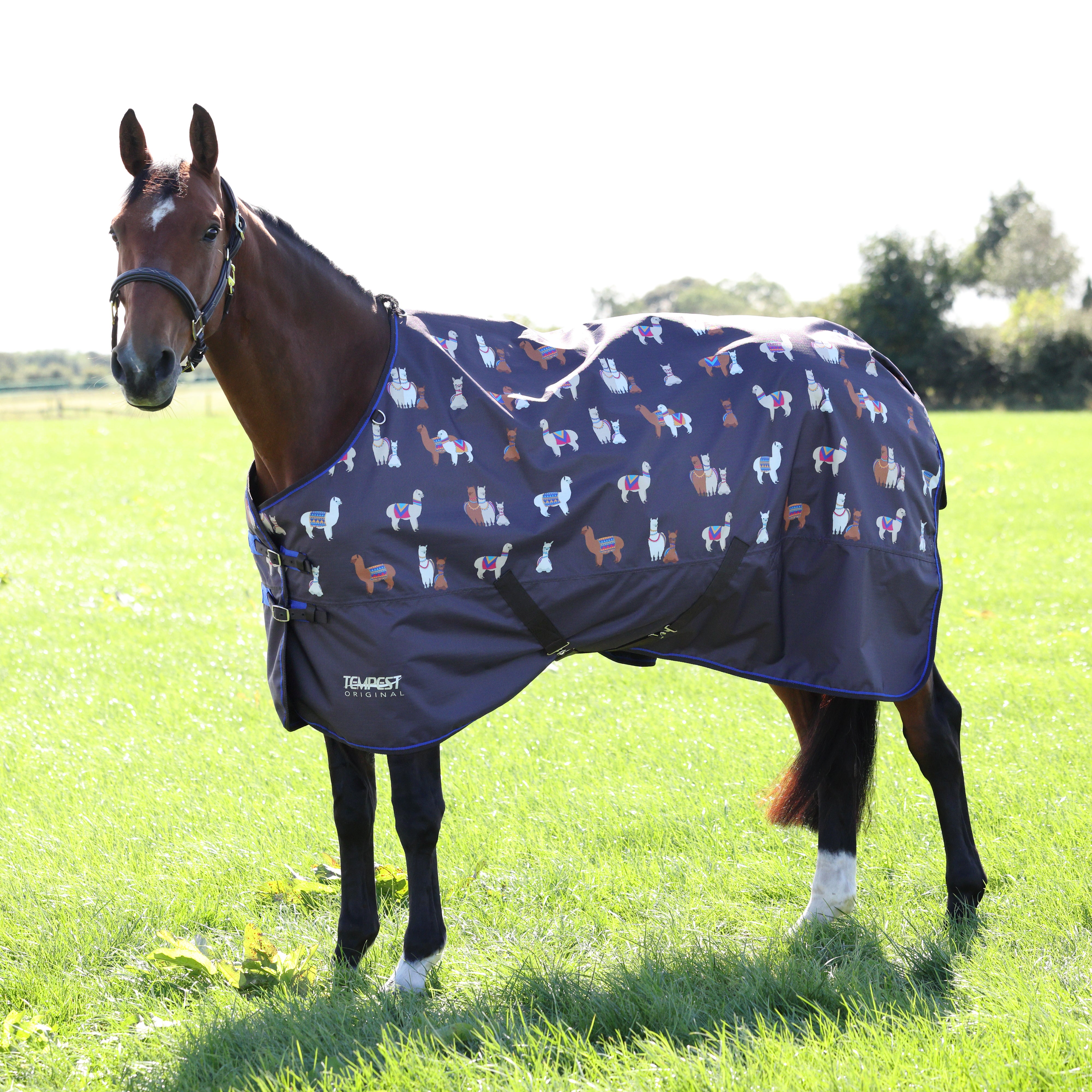 Shires Tempest Original Lite Turnout