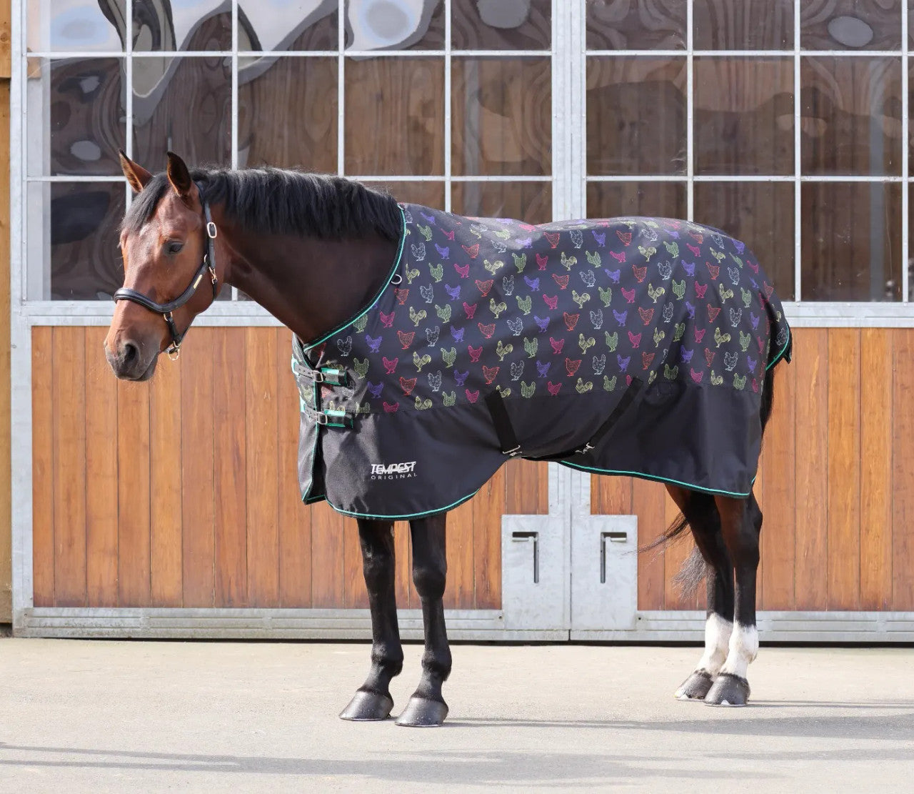 Shires Tempest Lite Original Turnout Sheet - Lite 0g - main