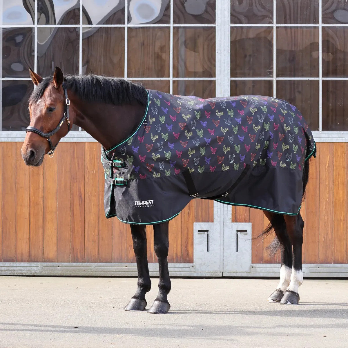 Shires Tempest Original Turnout Blanket - Medium 200g - main