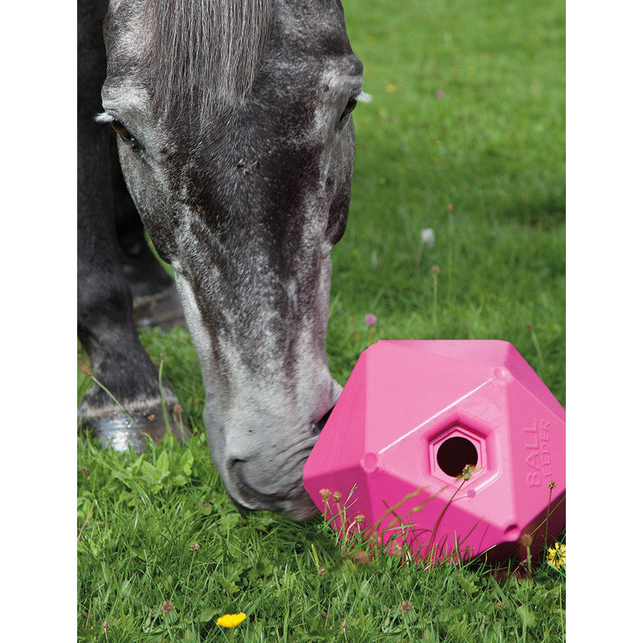 Shires Ball Feeder - supporting