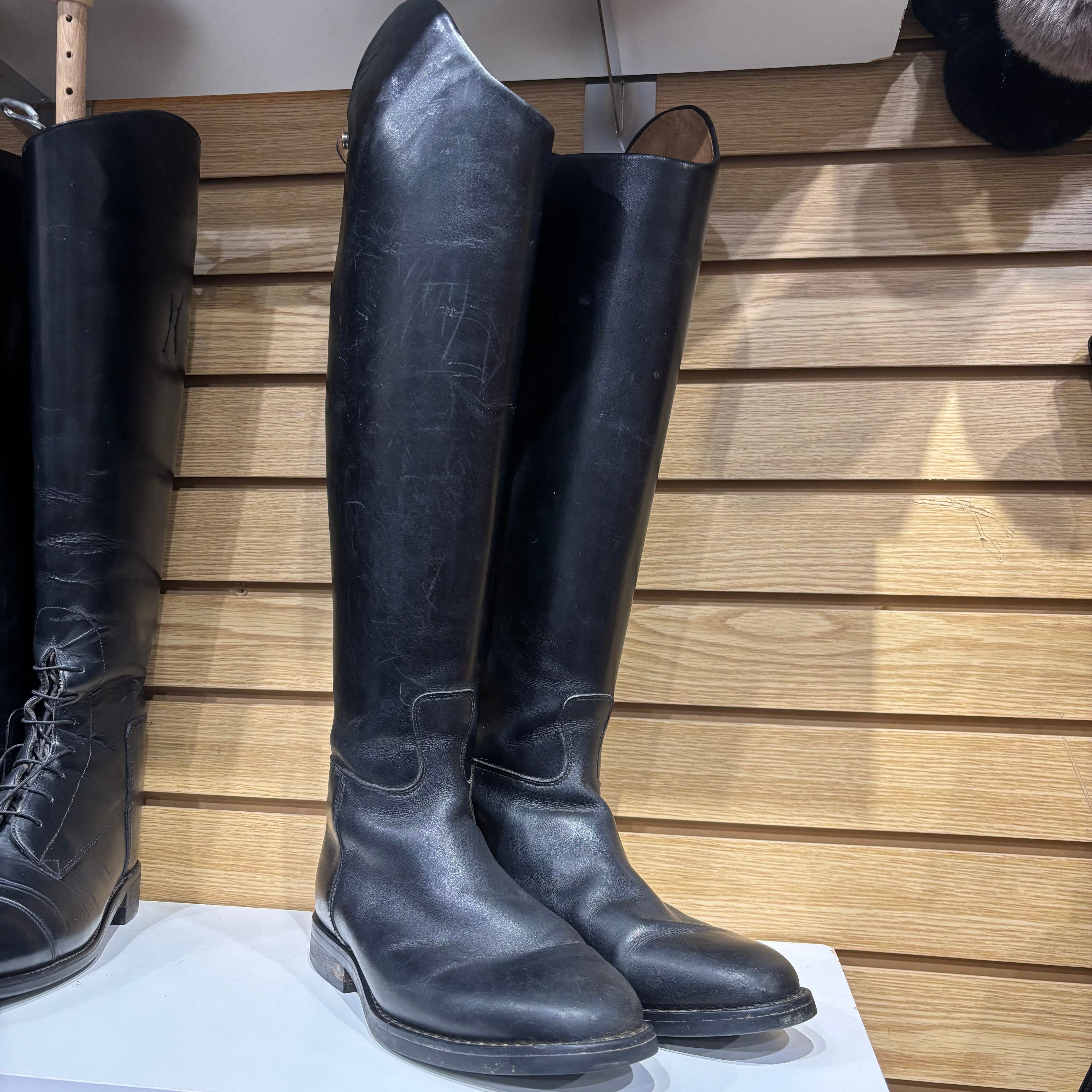 Used 8 Medium Ariat Tall Dressage Boot