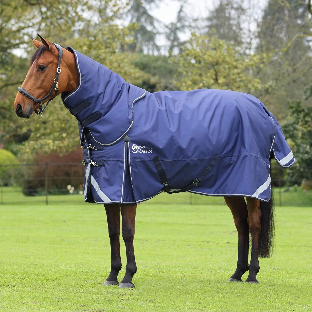 Shires StormCheeta 200g Set