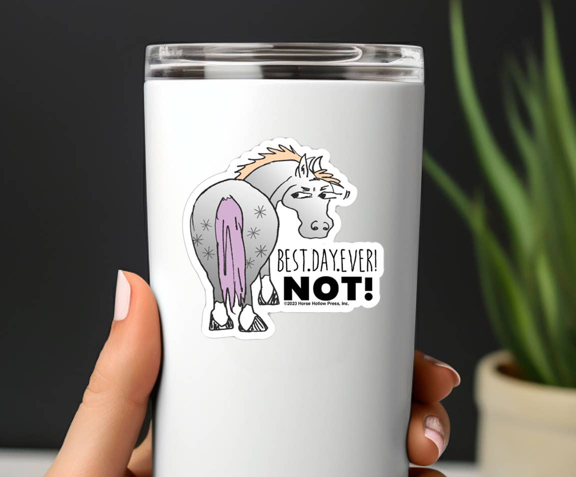3" Tumbler Horse Sticker / Best Day Ever NOT / WATERPROOF