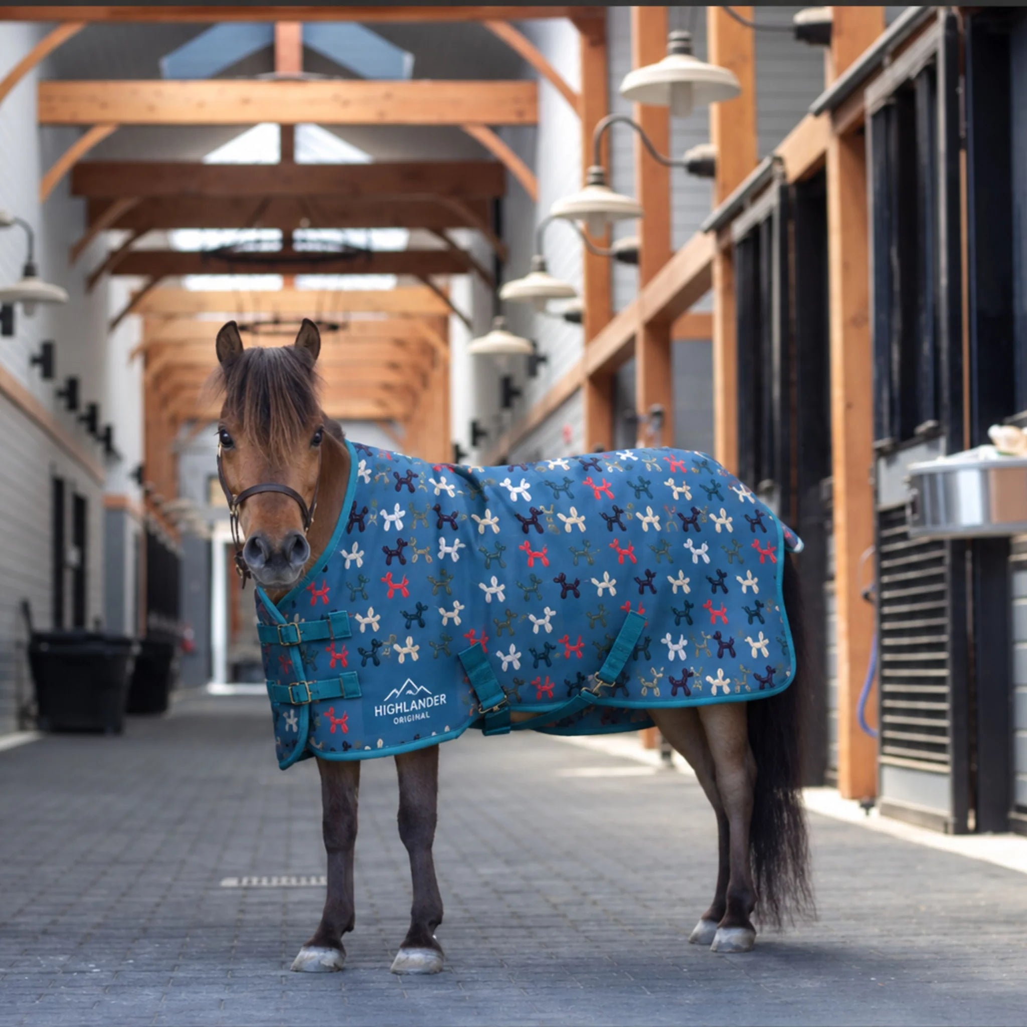 Shires Highlander Original 200 Mini Turnout Rug