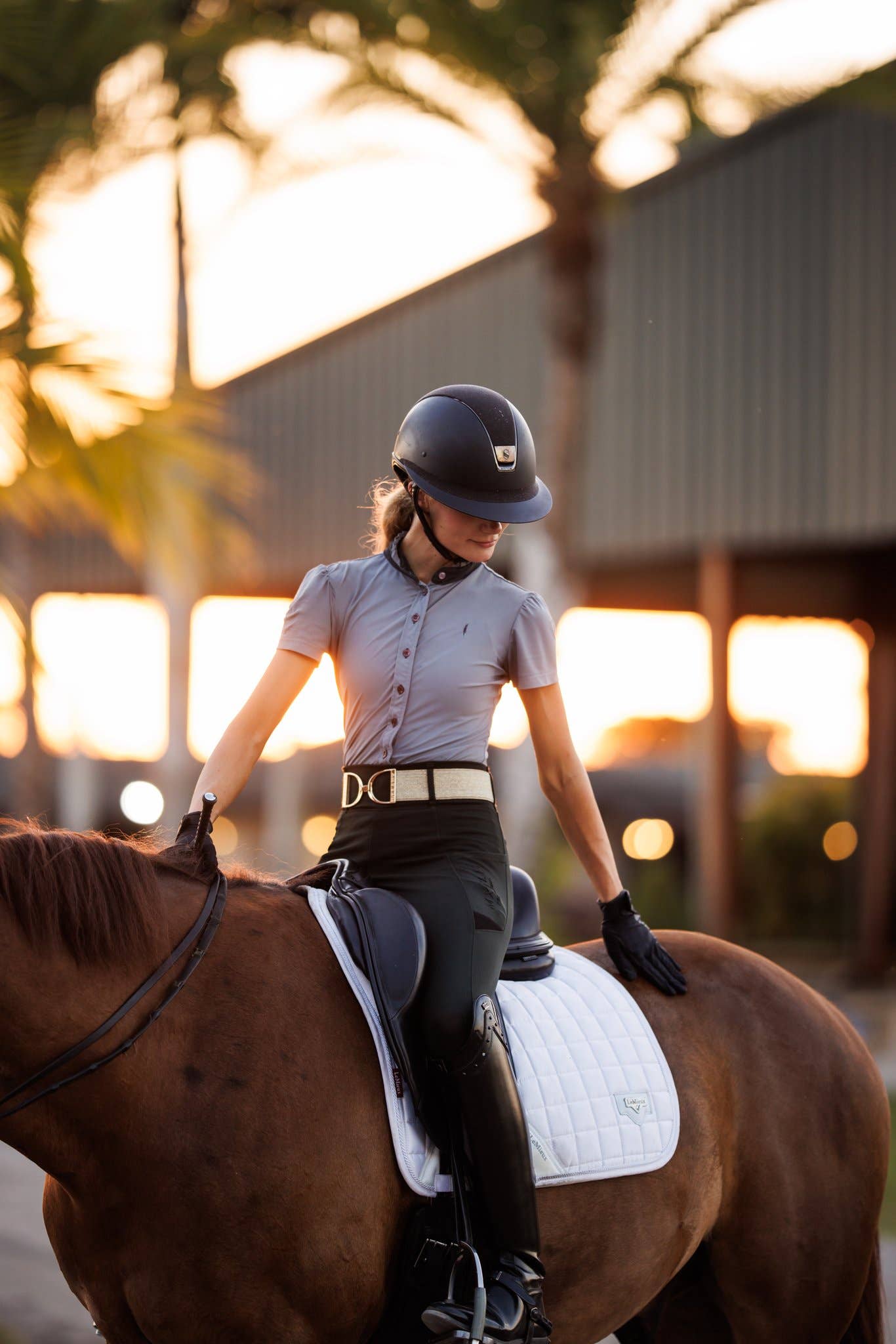 Ellany - Gold Dakota - 2" Gold Stirrup Equestrian Elastic Belt