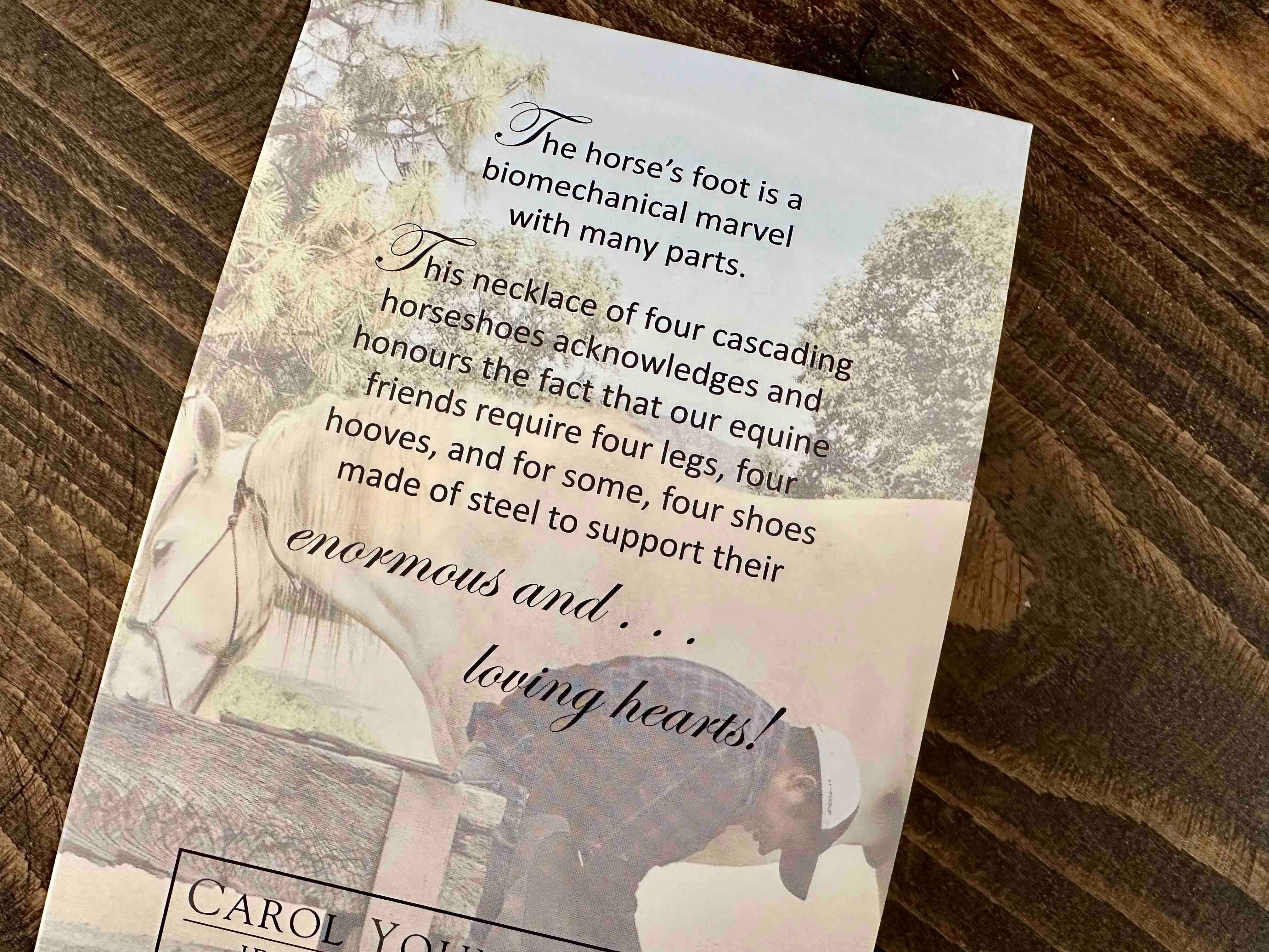 Horseshoe Petite Necklace with Aqua Crystals