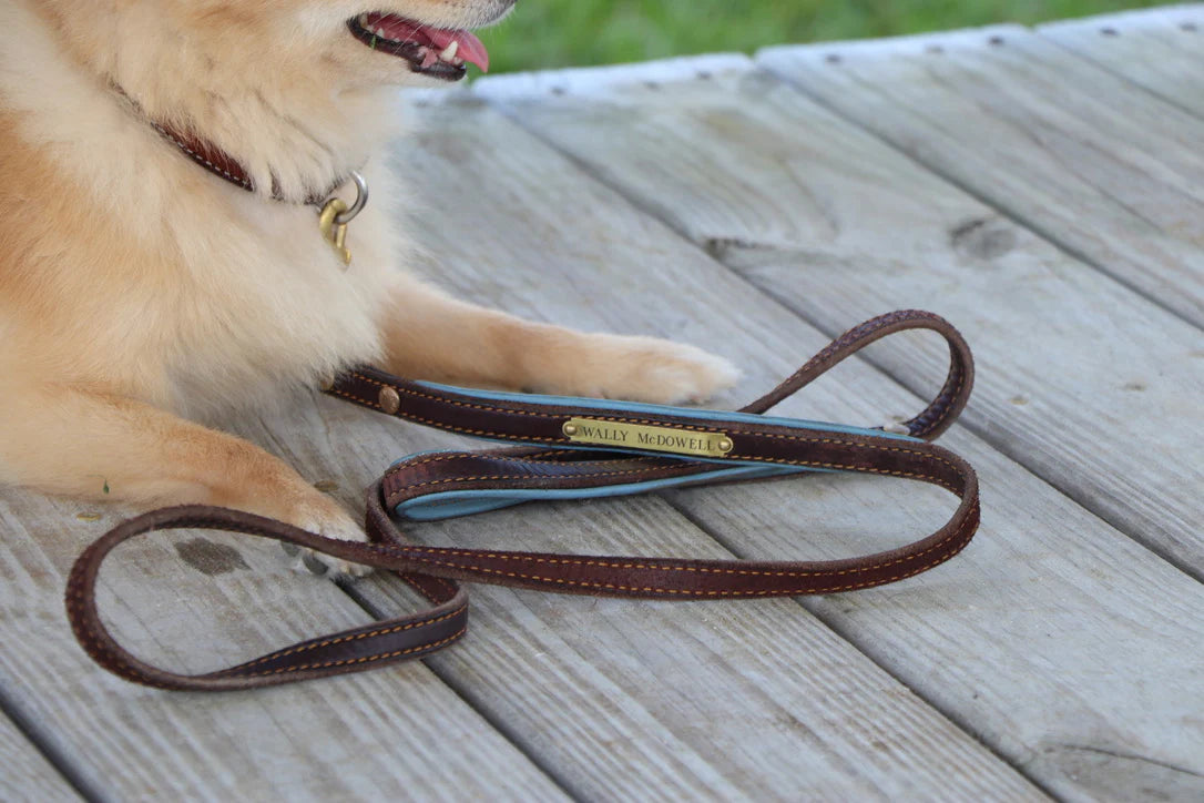 Custom Padded Dog Leash