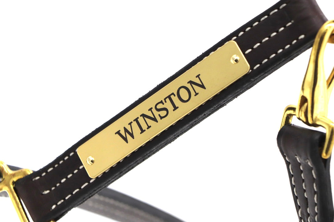 Elegant Halter Nameplate