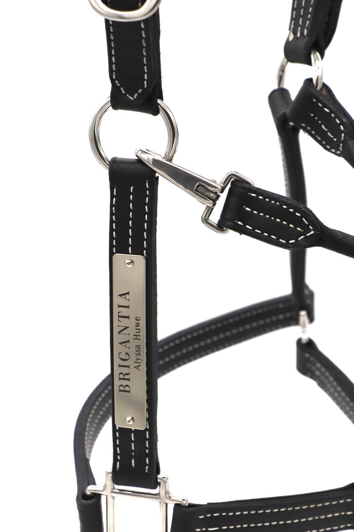 Elegant Halter Nameplate