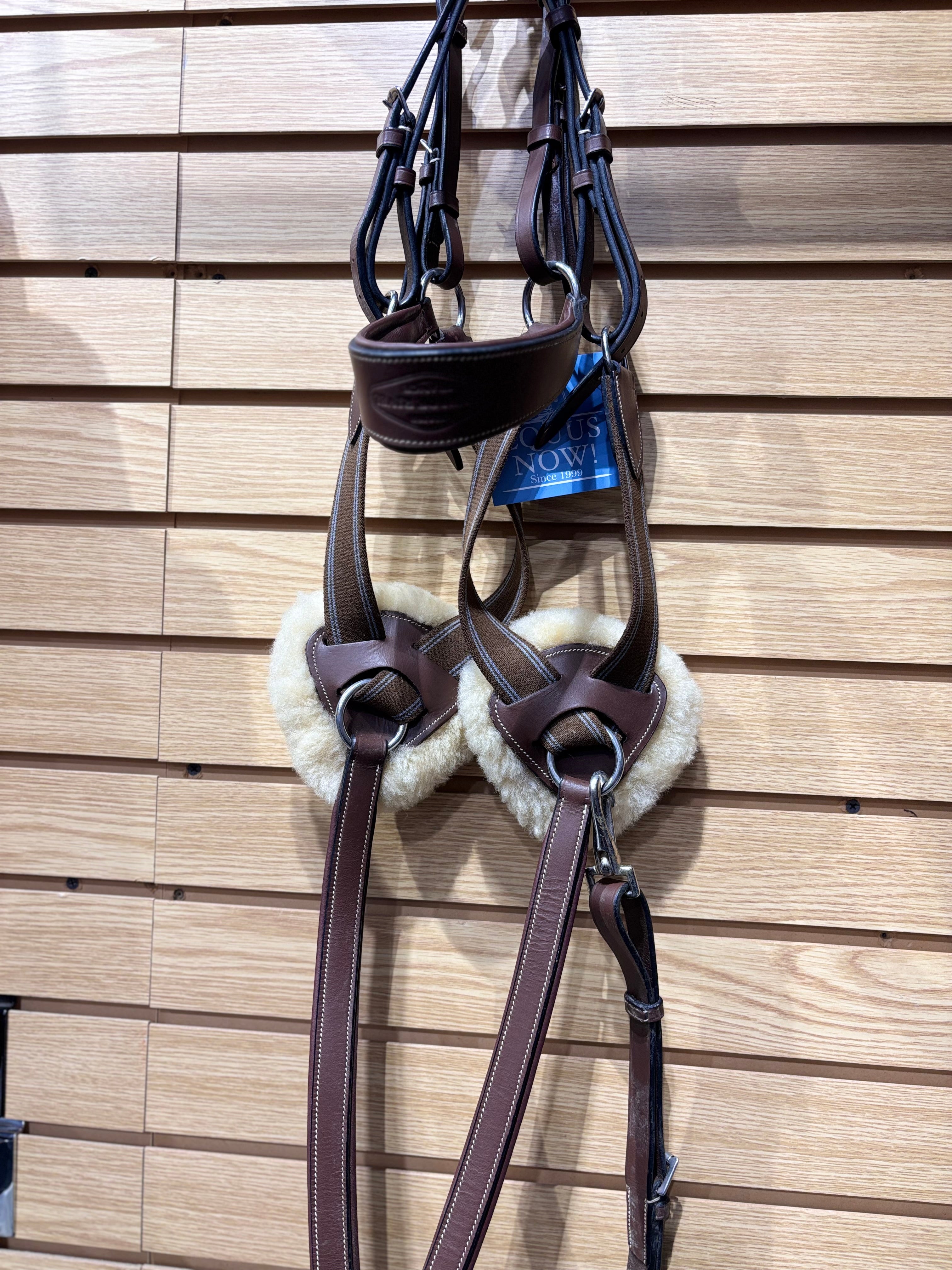 Used Oversize Brown HDR 5 Point Breastplate