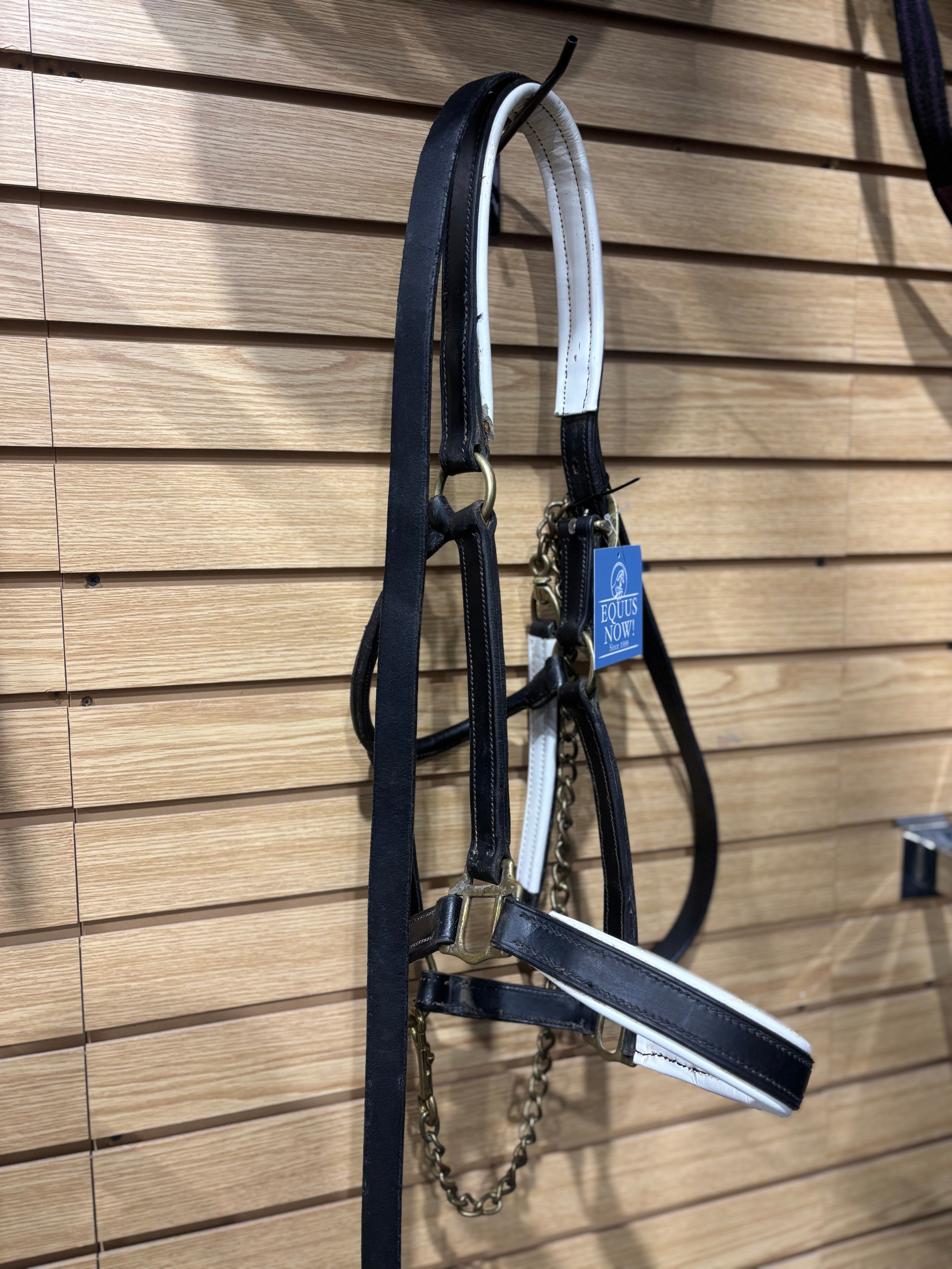 Used Black Leather Halter and Lead