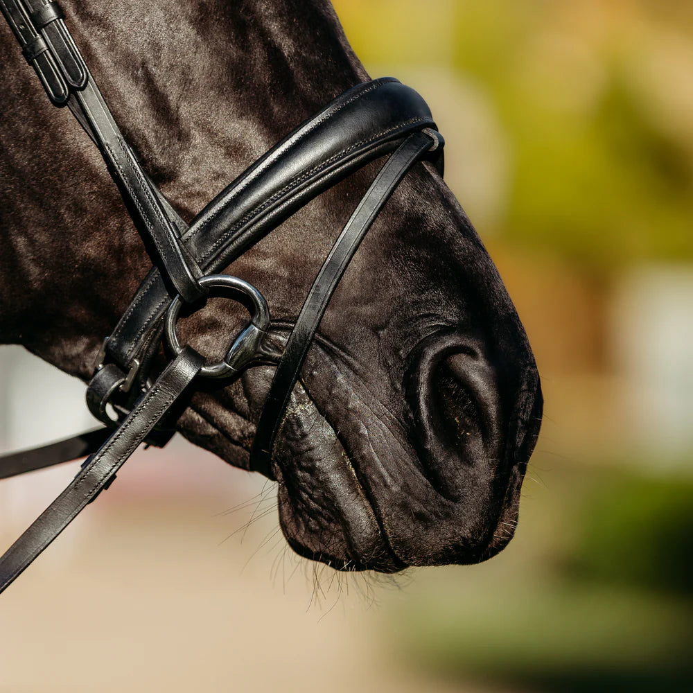 Lumiere Abigail Leather Bridle (Convertible)