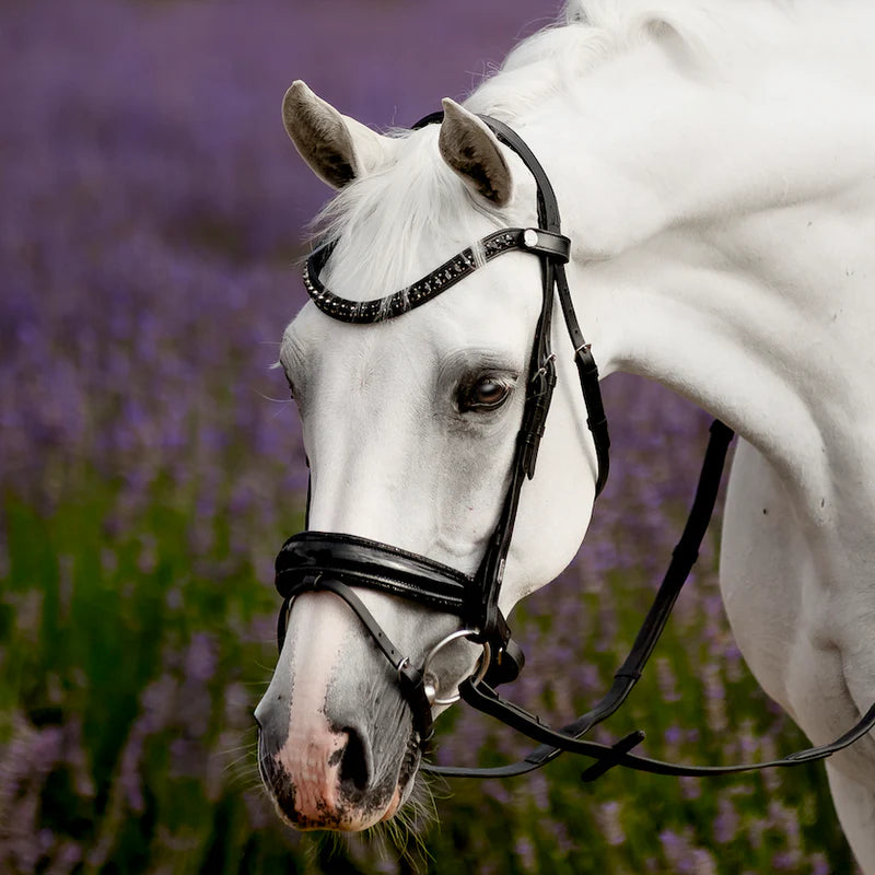 Lumiere Arcadia Luxury Leather Bridle Hanovarian