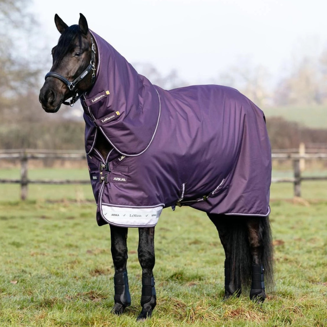 LeMieux Arika Ripstop 0g Turnout Sheet