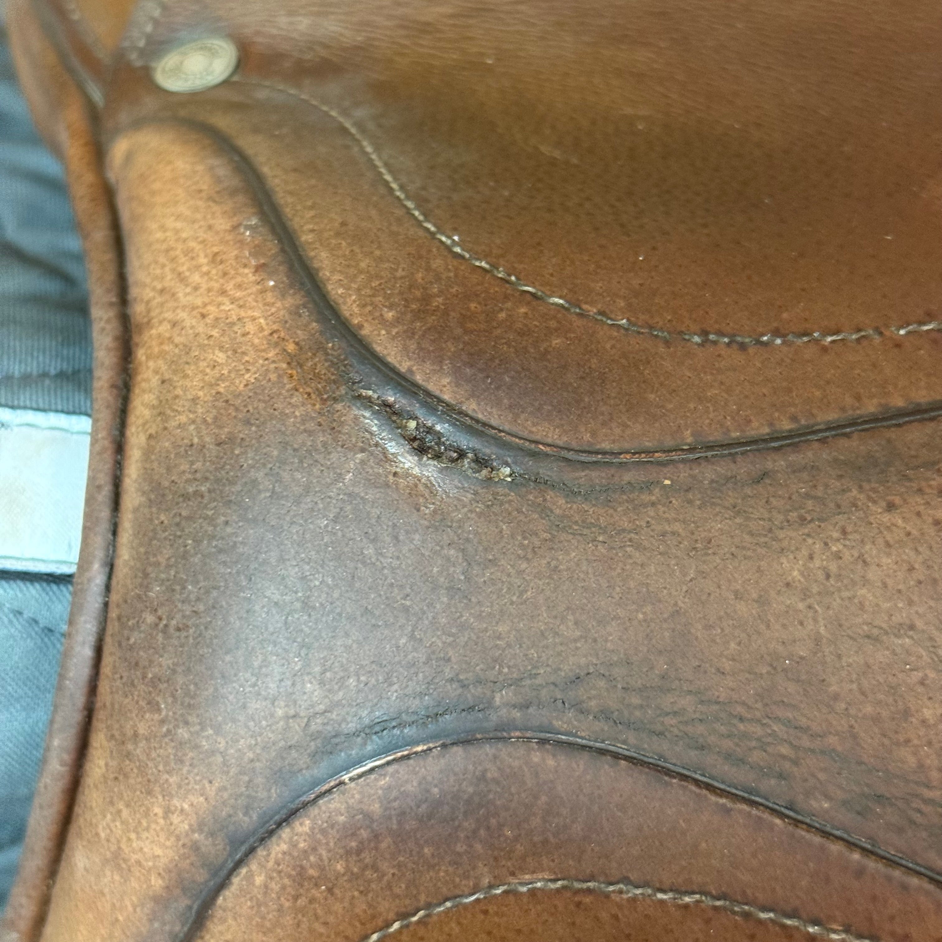 Used Antares Jump Saddle 16.5” Medium Tree