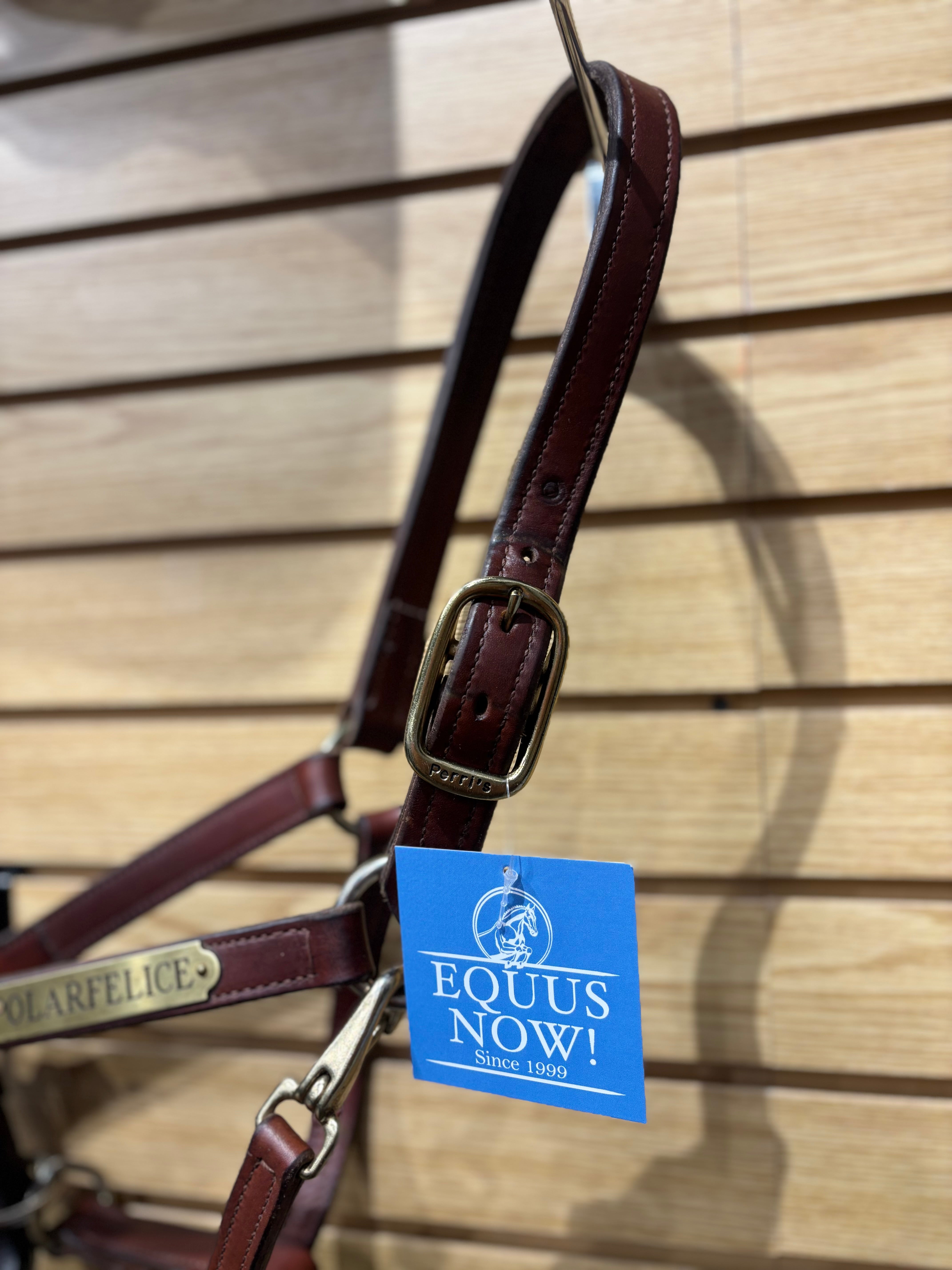 Used Perri's Horse Brown Leather Halter