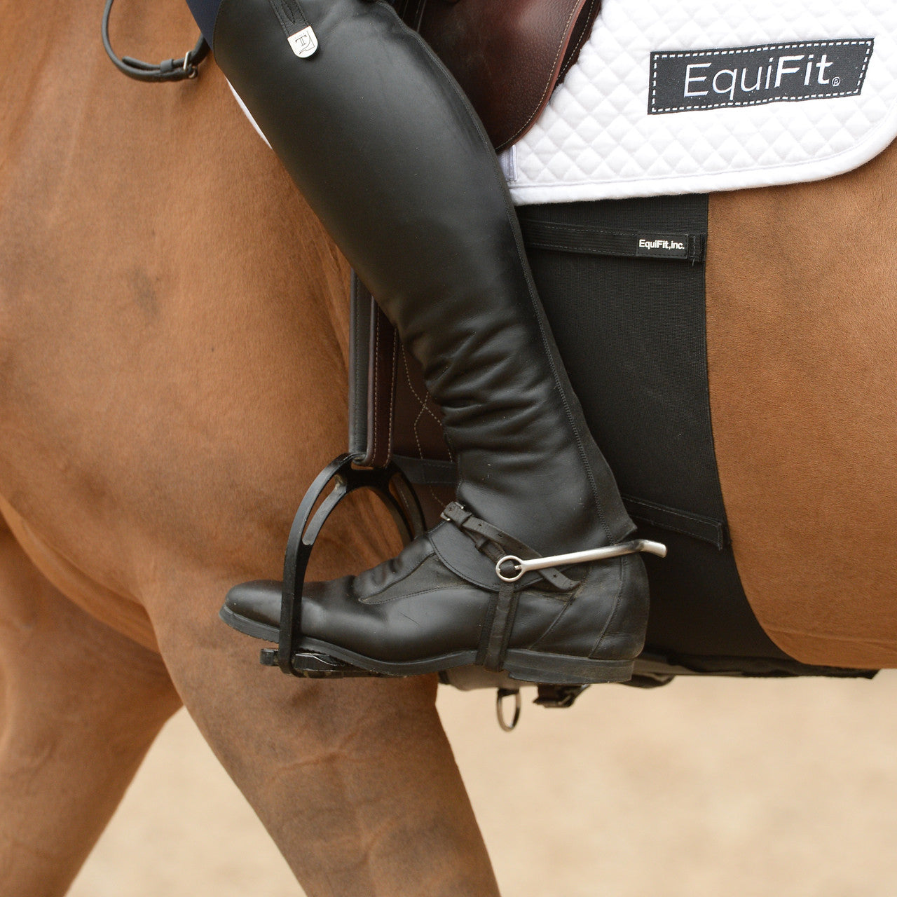 EquiFit BellyBand - supporting