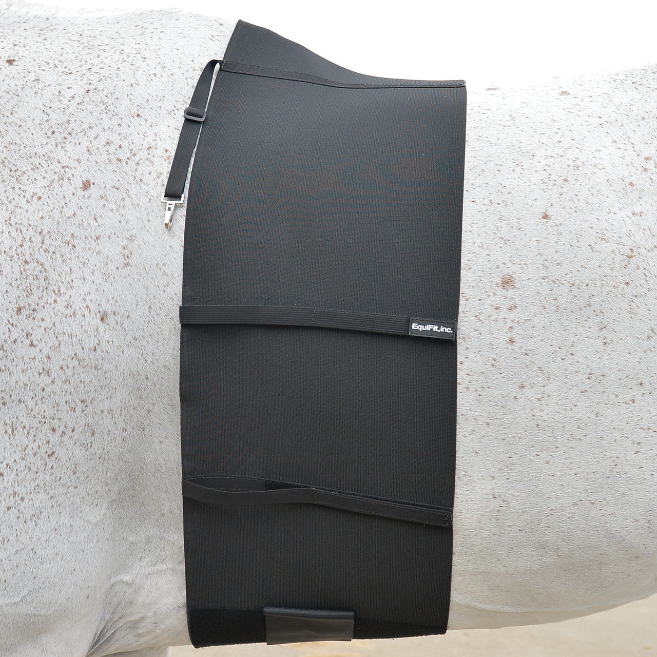 EquiFit BellyBand - main