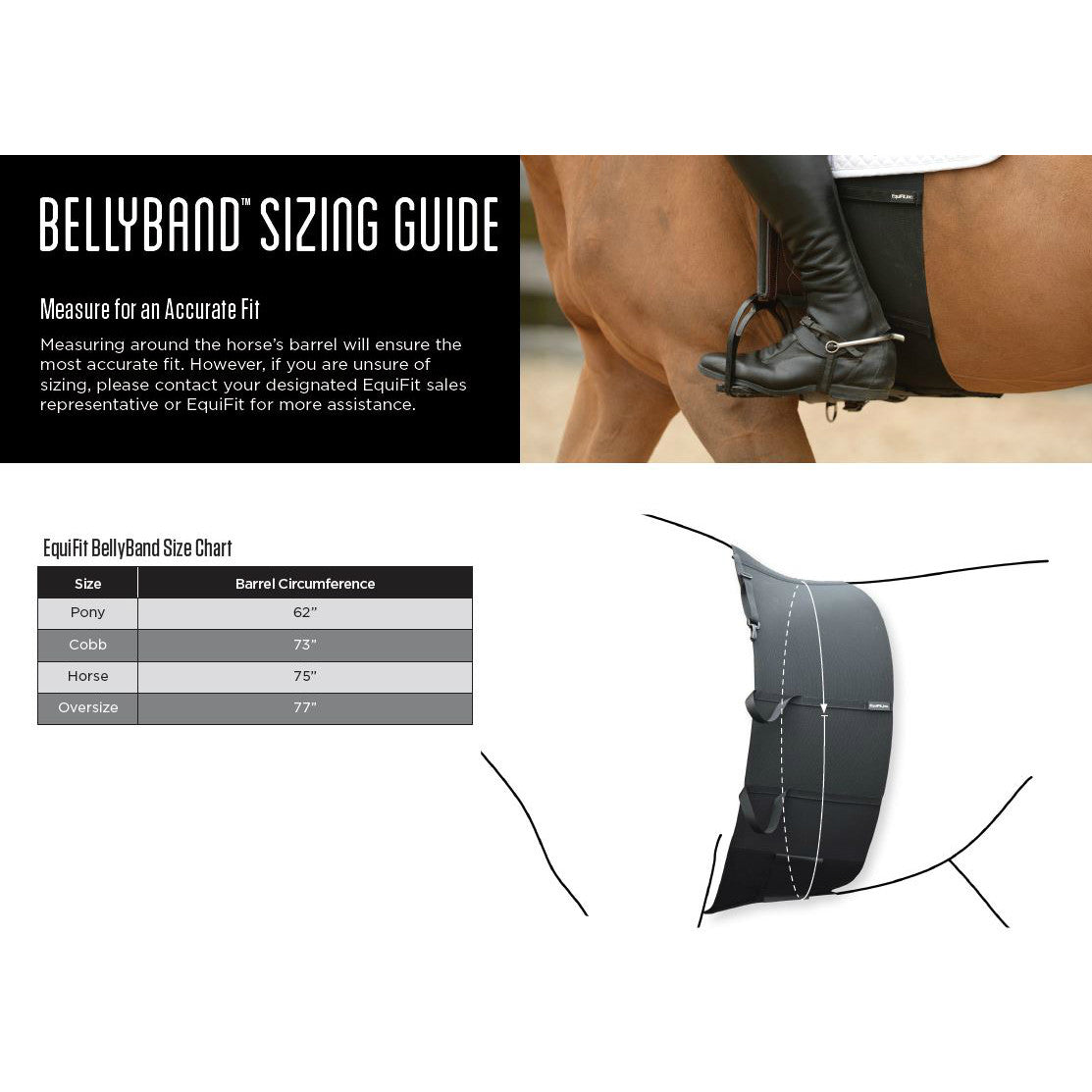 EquiFit BellyBand - supporting