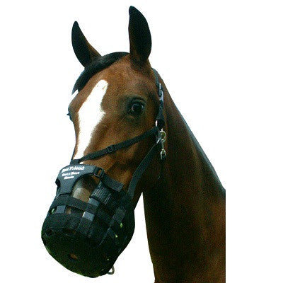 Deluxe Have a Heart Grazing Muzzle & Halter - main