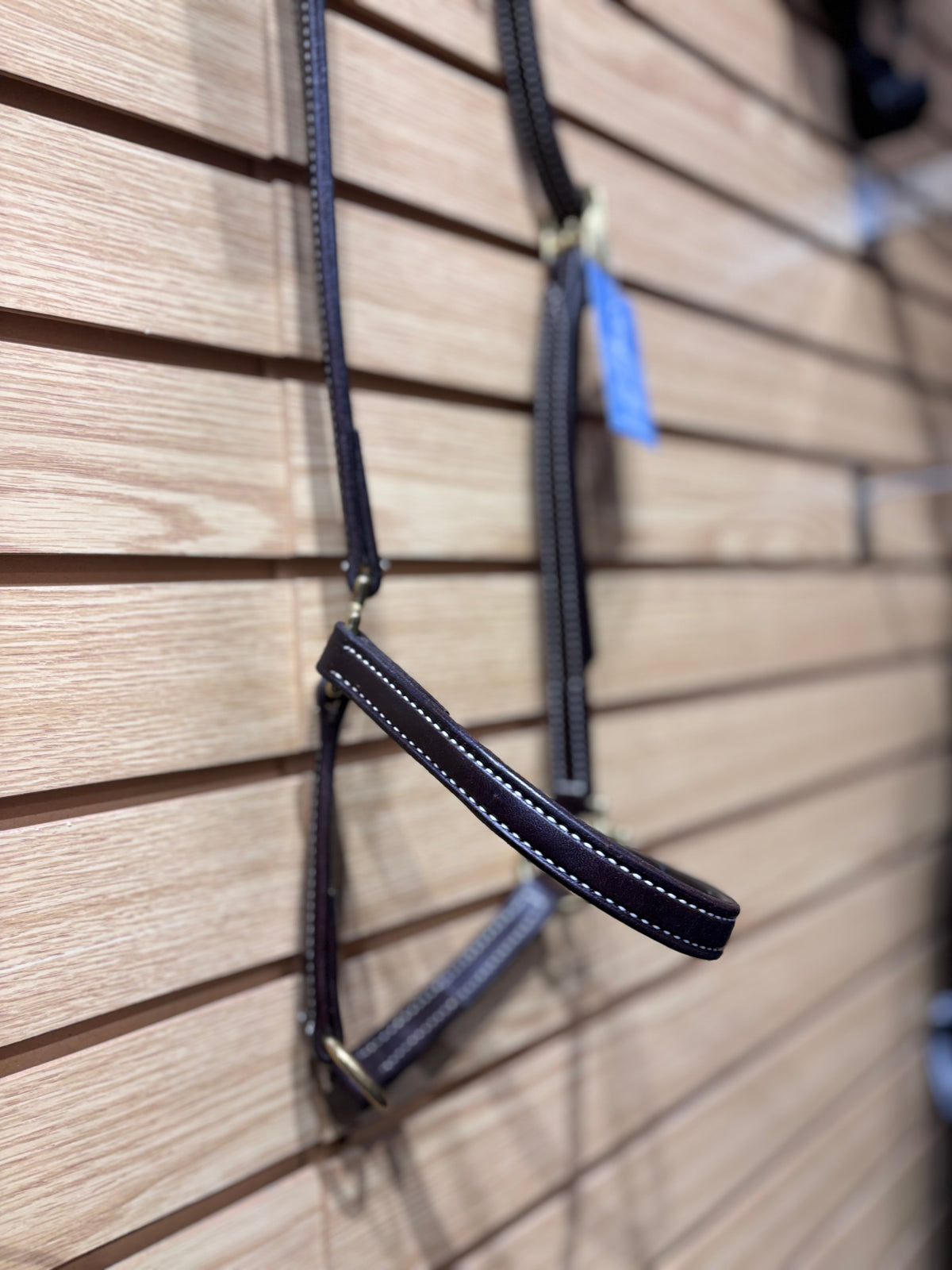 Used Walsh Oversize Brown Grooming Halter