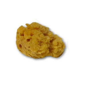 Small Natural Tack Sponge - sku to order - 6551