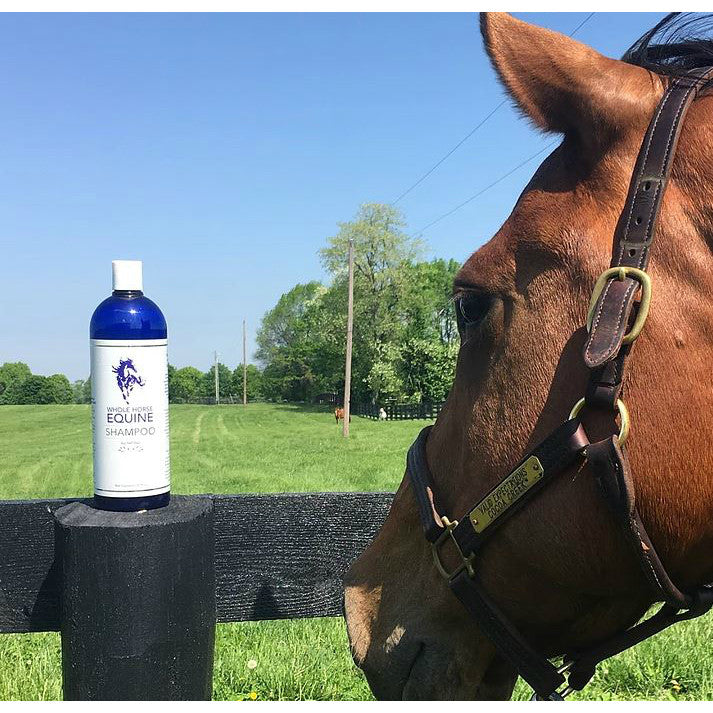 Whole Horse Equine Shampoo  - 32oz - sku to order - 93850