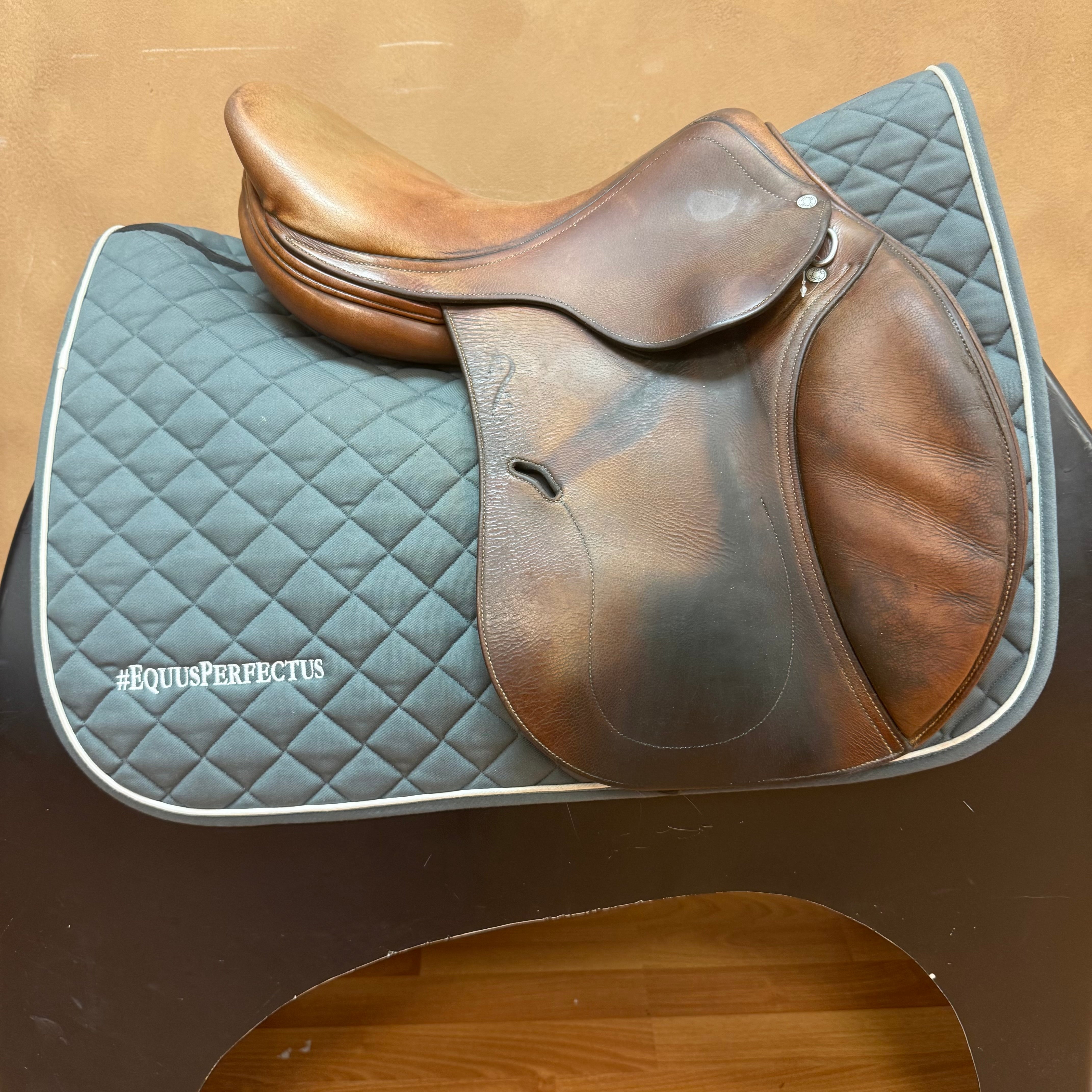 Used Antares Jump Saddle 16.5” Medium Tree