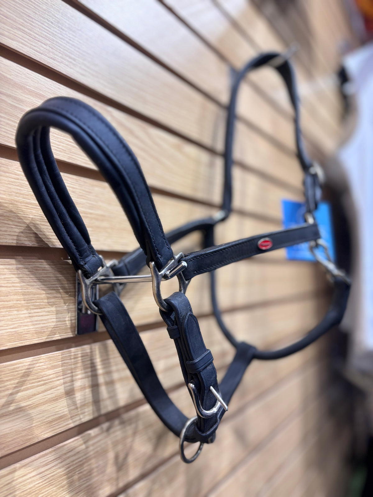 Used Full Black Whitaker Padded Leather Halter