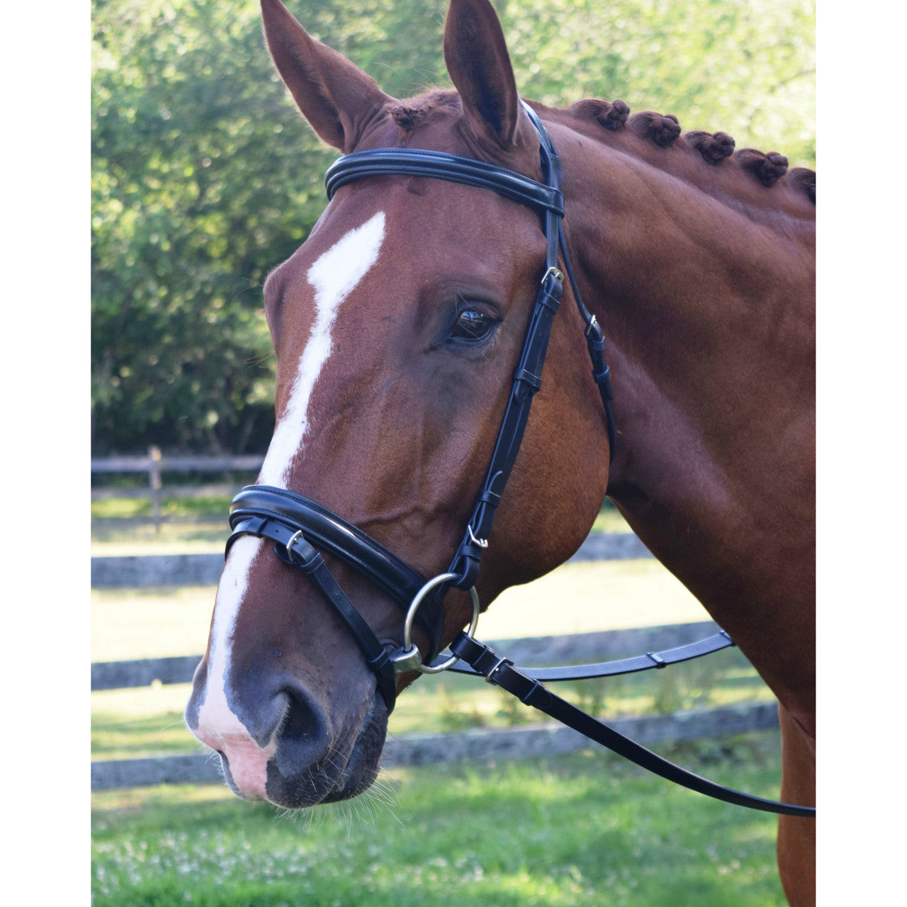 KL Select The Black Oak Economy Juniper Dressage Bridle - main