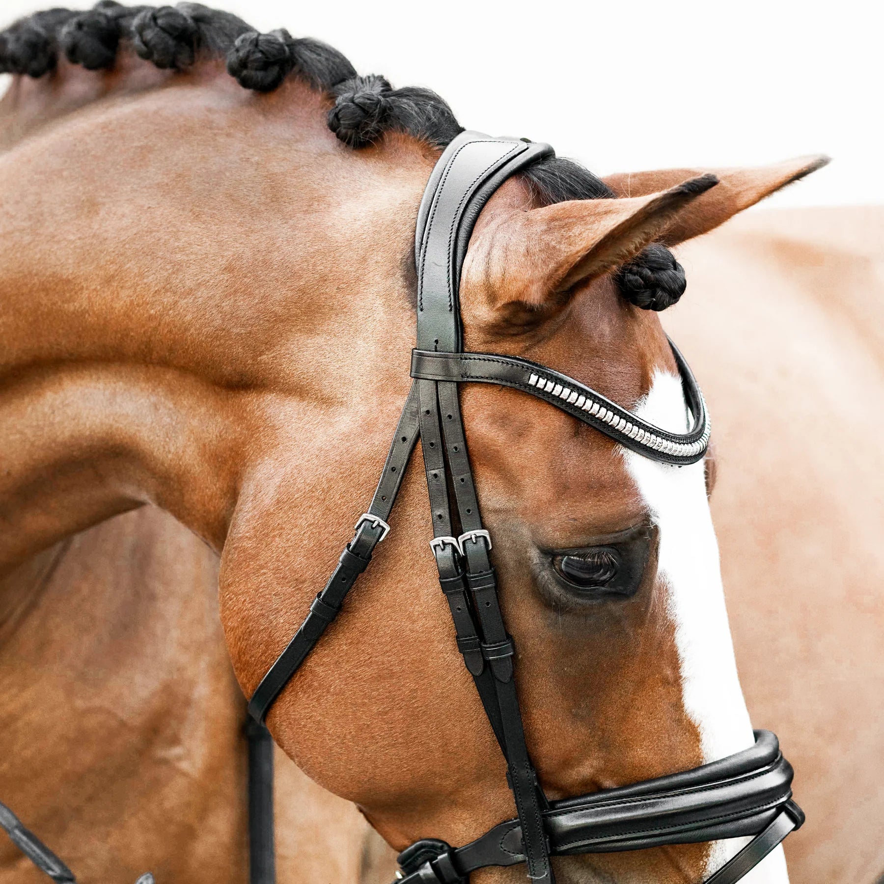Lumiere Melodie Classic Bridle