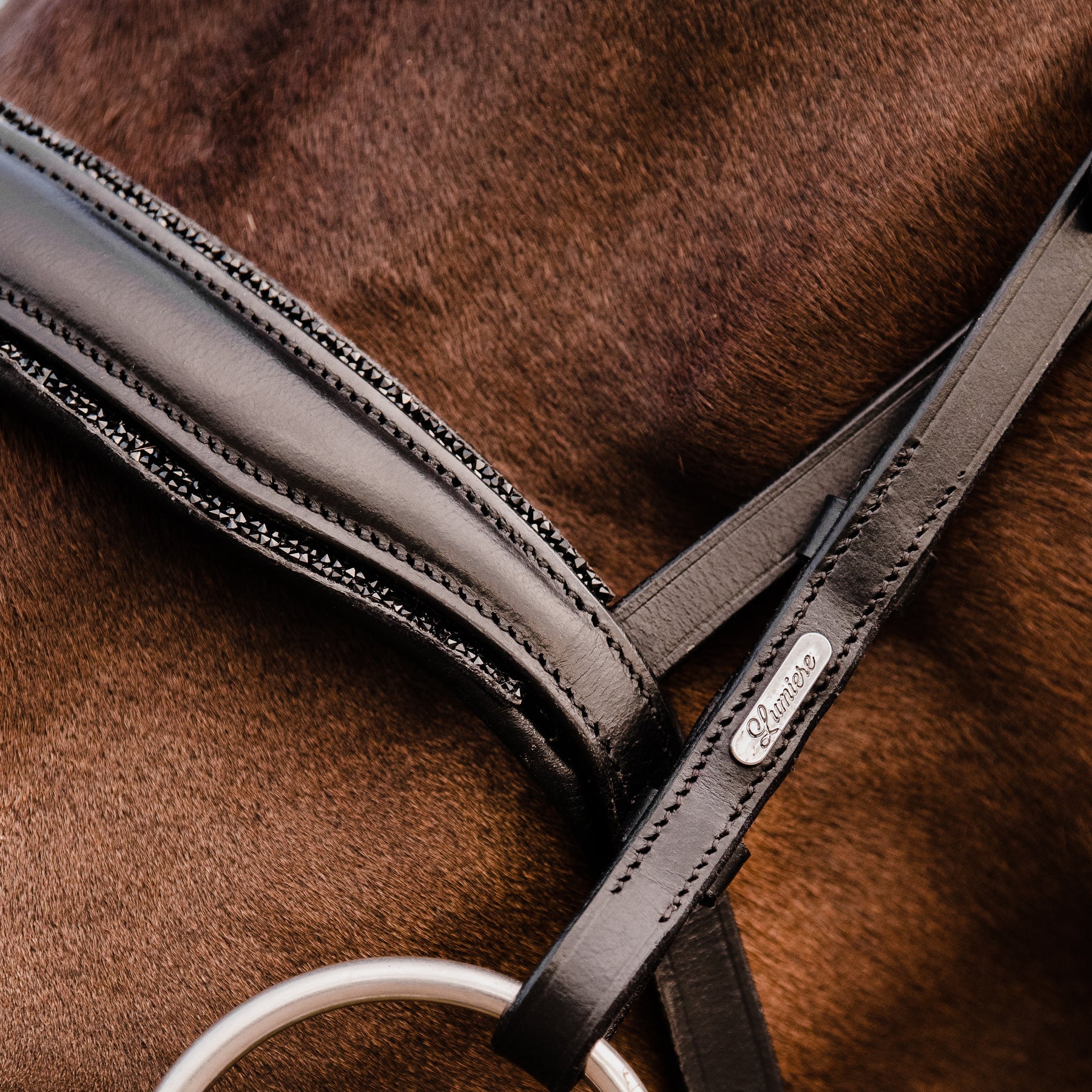 Lumiere Arcadia Luxury Leather Bridle Hanovarian