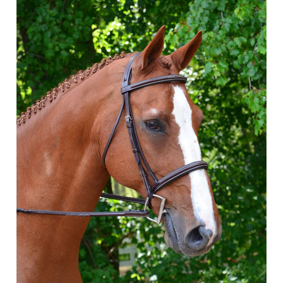 KL Select Black Oak Aster Hunter Bridle - supporting