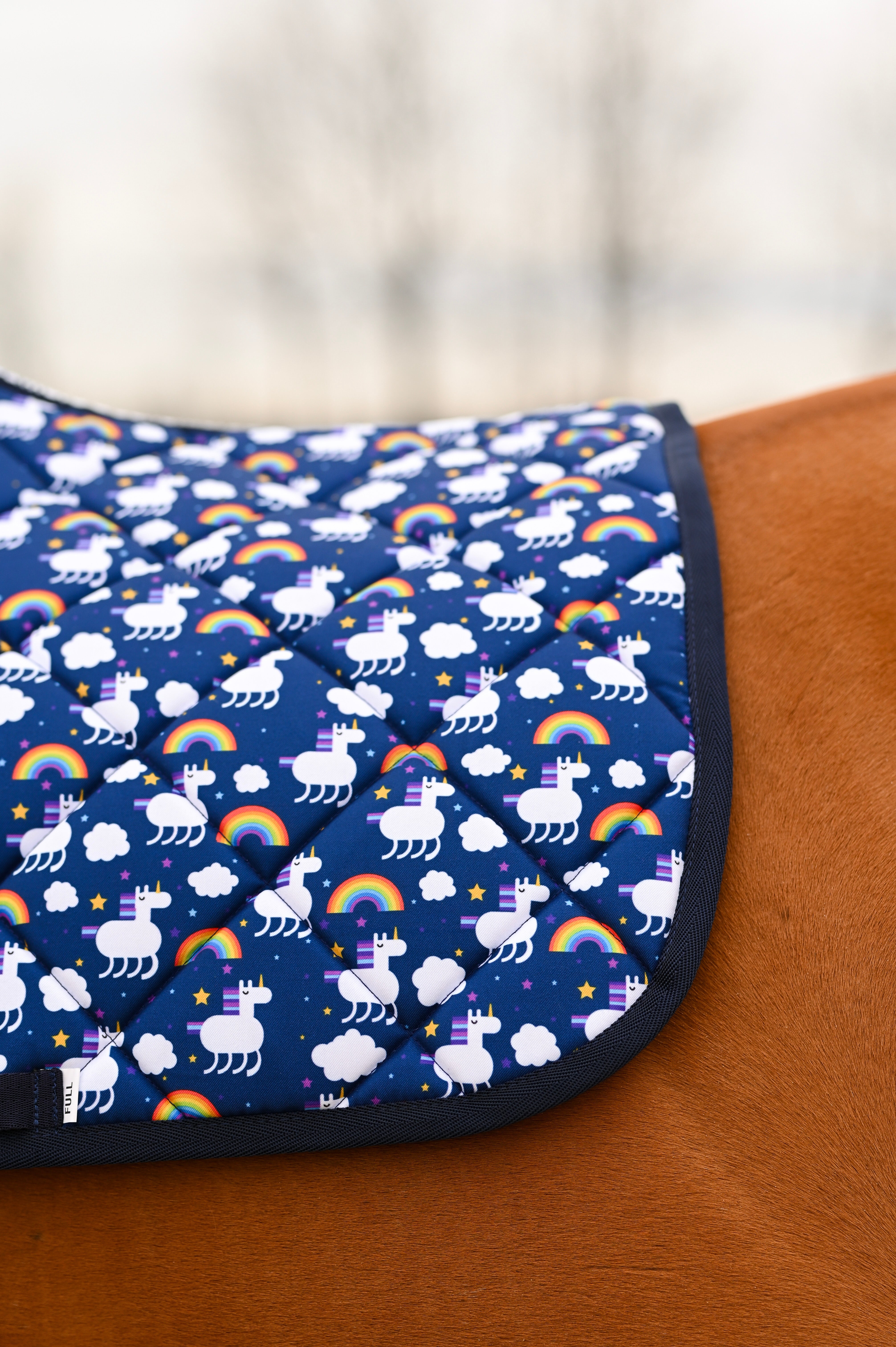 Dreamers & Schemers All Purpose Saddle Pad