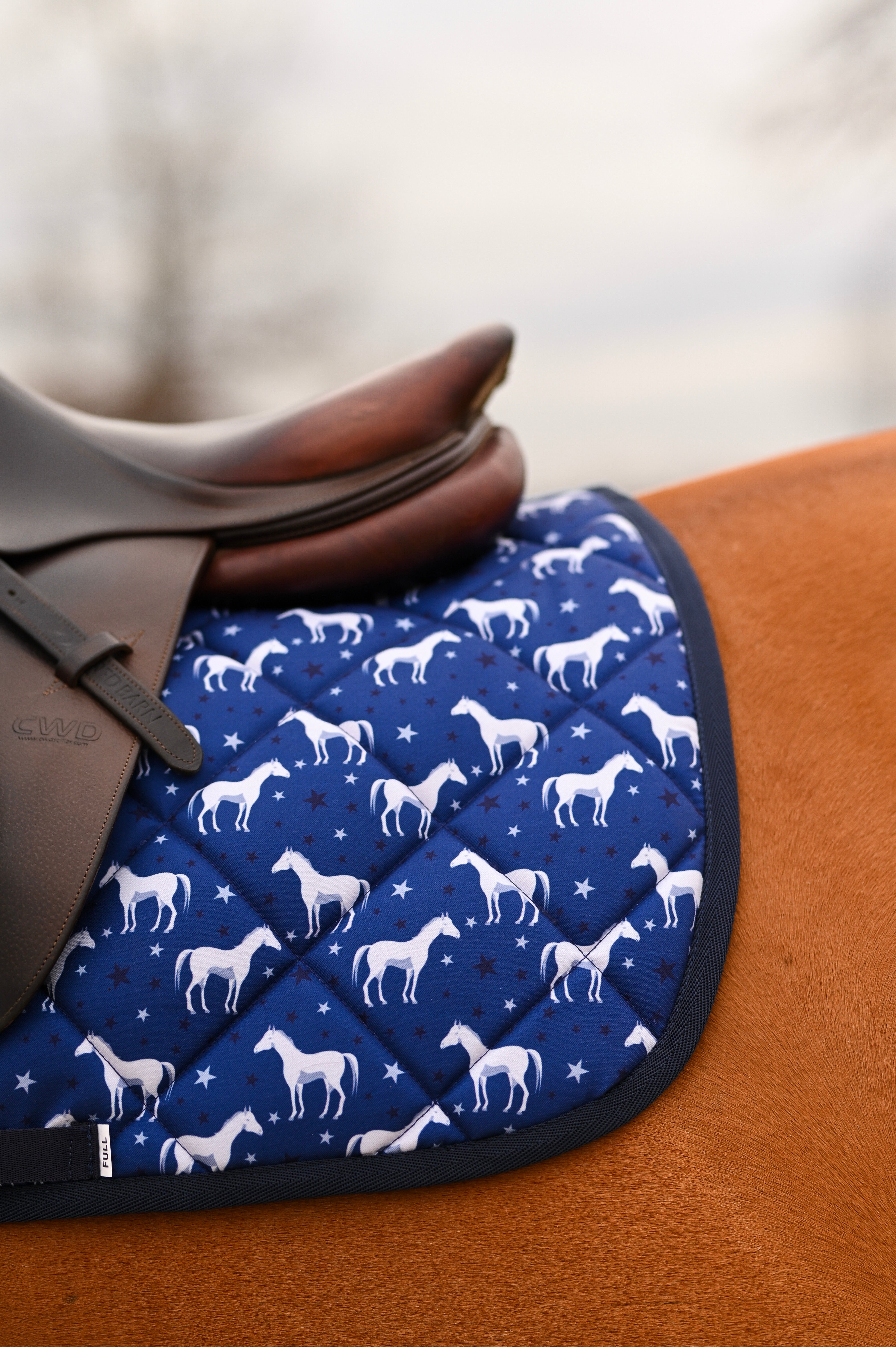 Dreamers & Schemers All Purpose Saddle Pad