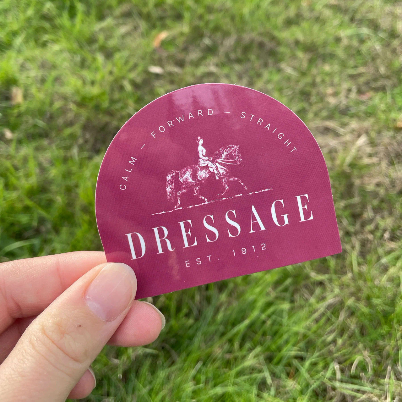 Dapplebay Dressage Sticker Pack - sku to order - 117878