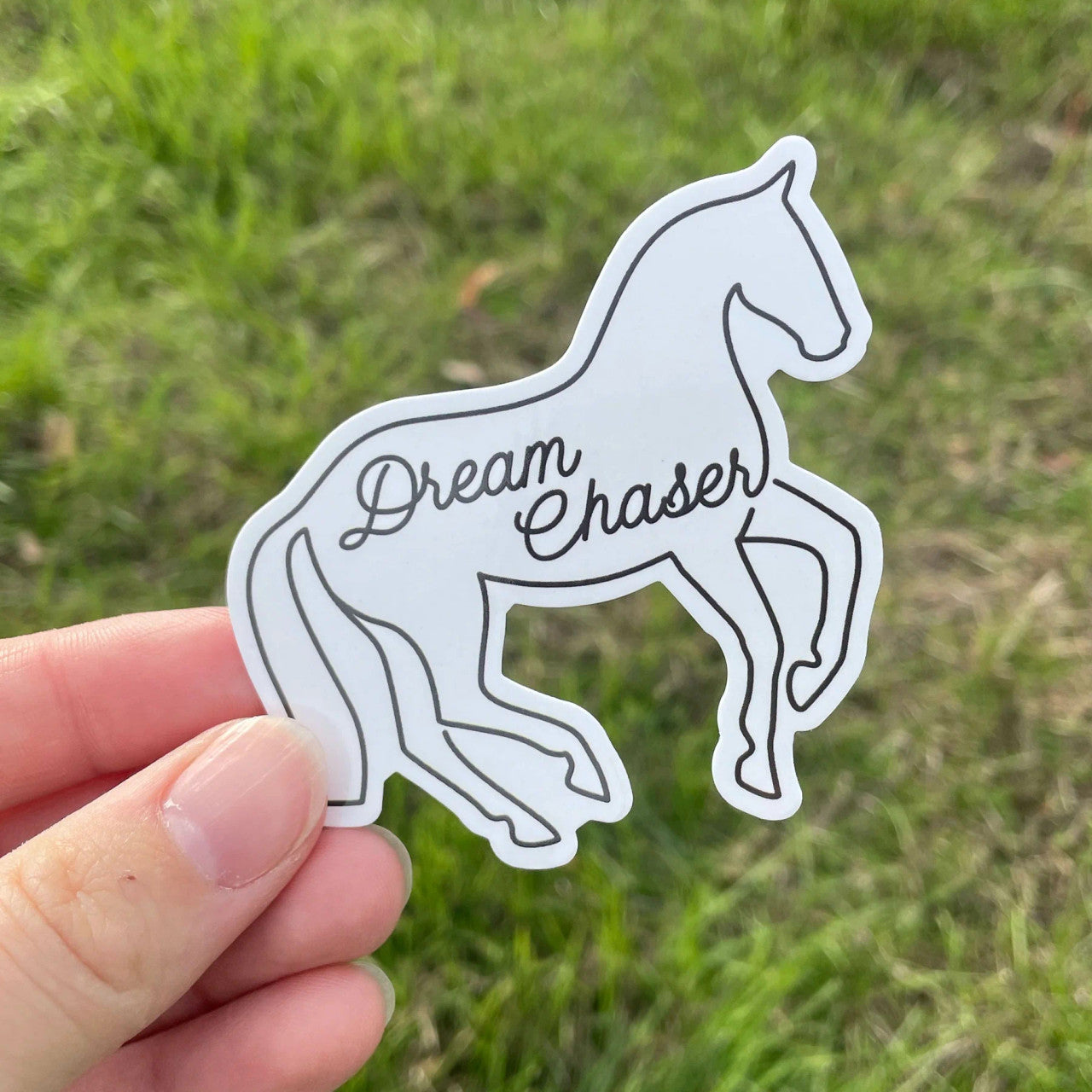 Dapplebay Dressage Sticker Pack - sku to order - 117878