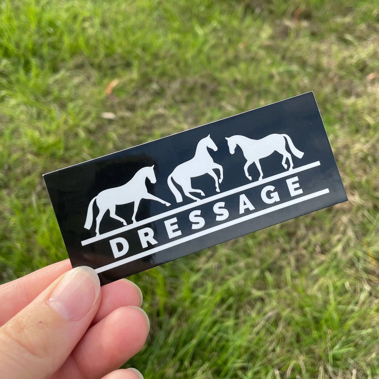 Dapplebay Dressage Sticker Pack - sku to order - 117878